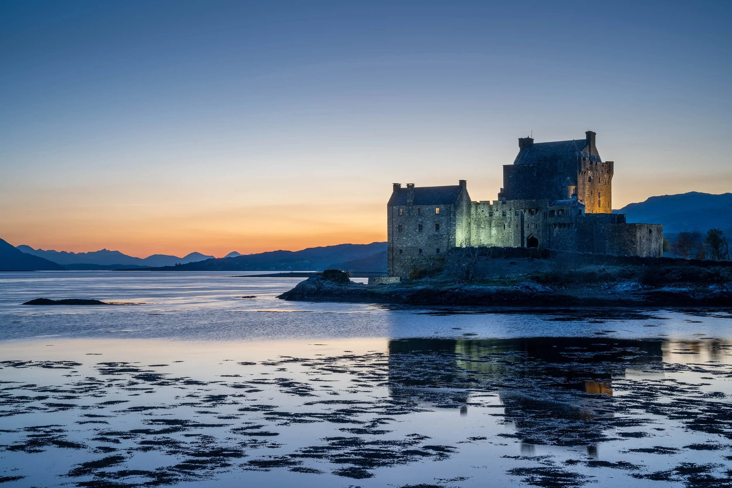 20250403-DSC_7115 copy 2.jpg