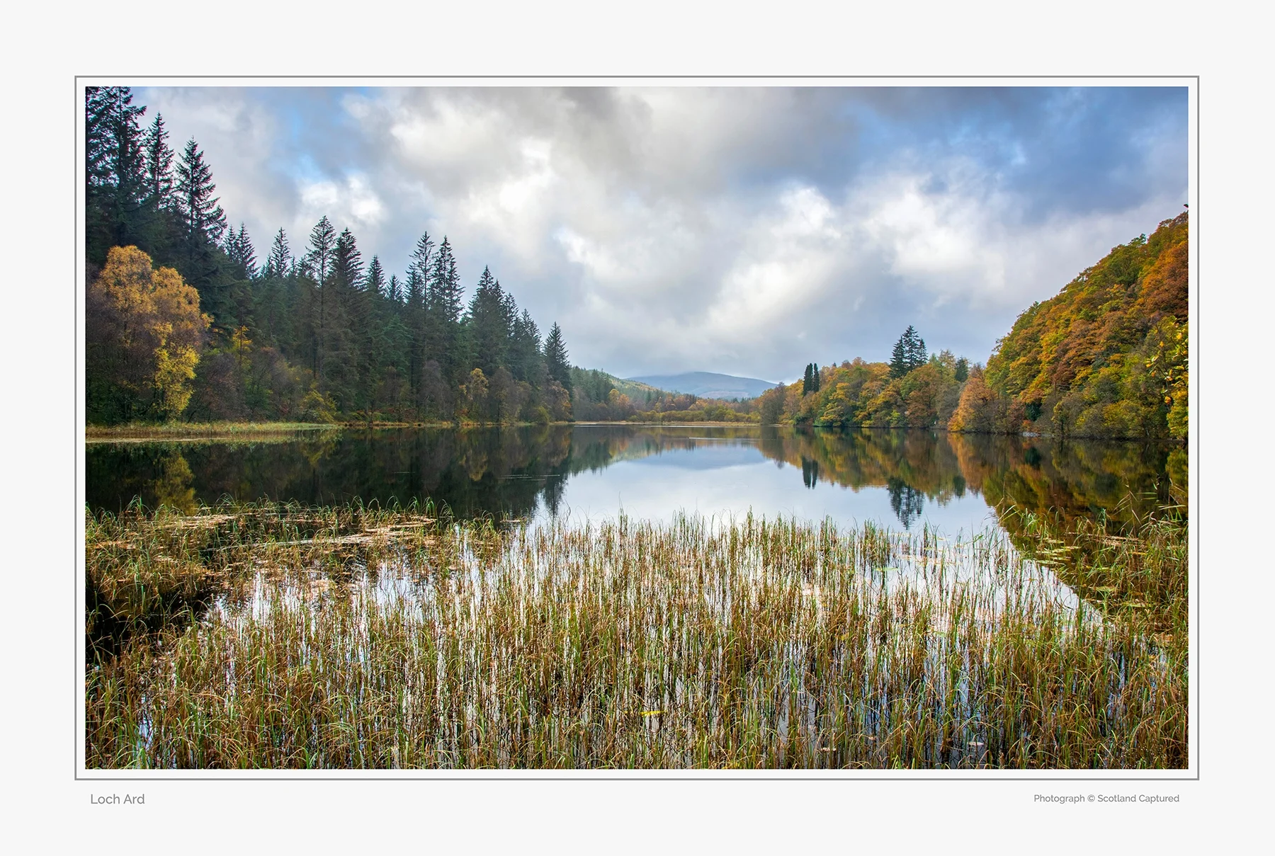 Loch_Ard_2 copy.webp