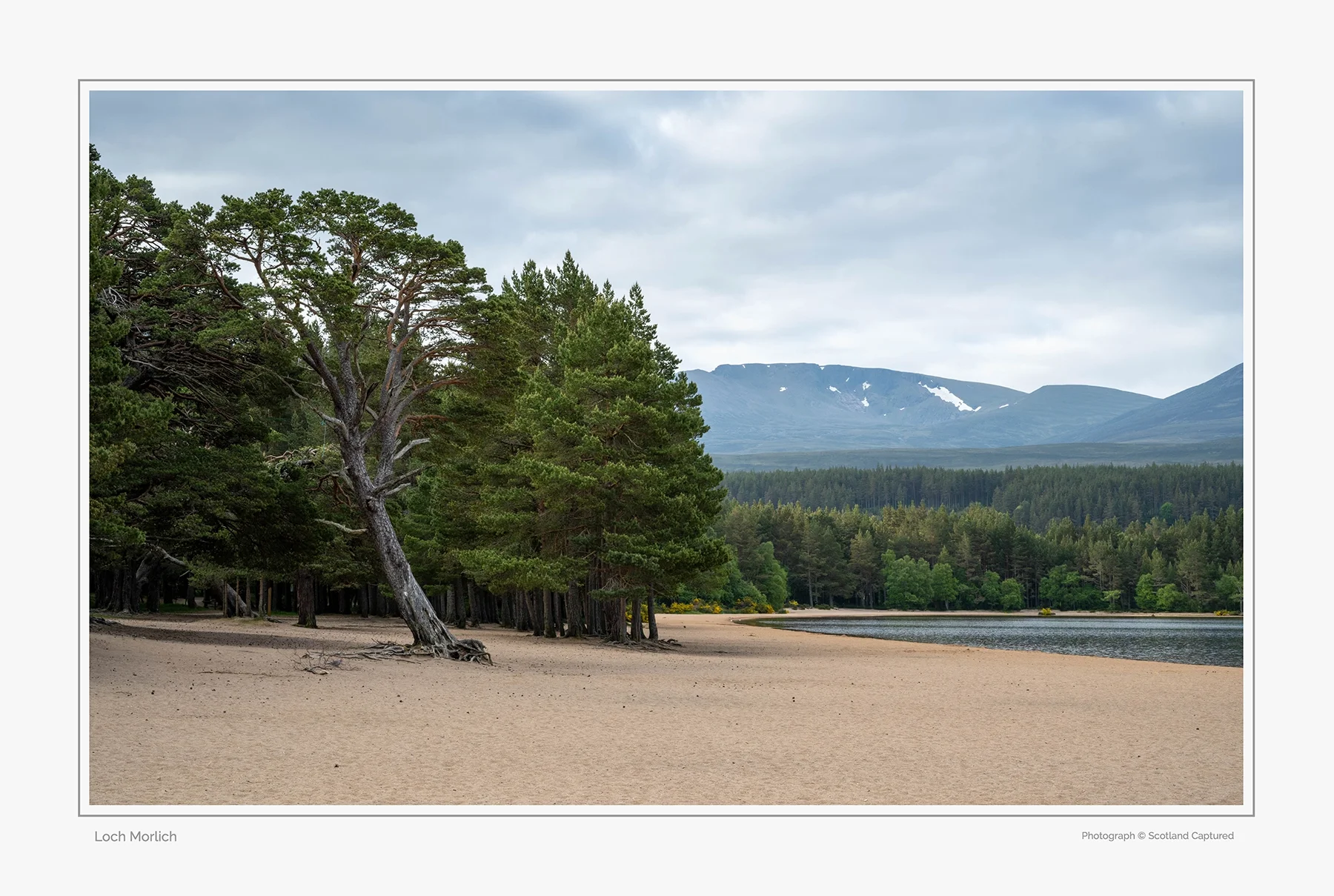 Loch_Morlich_2 copy.webp