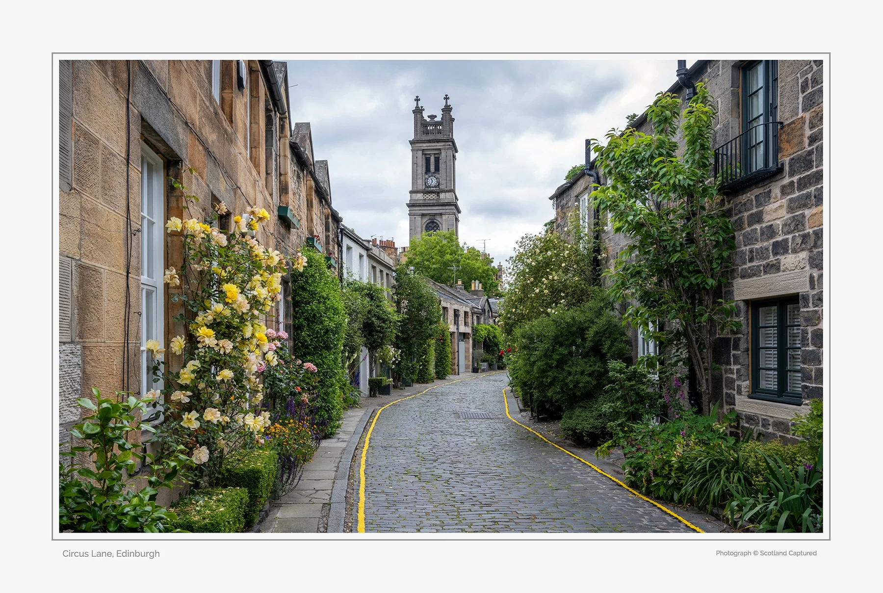 circus_lane copy.webp