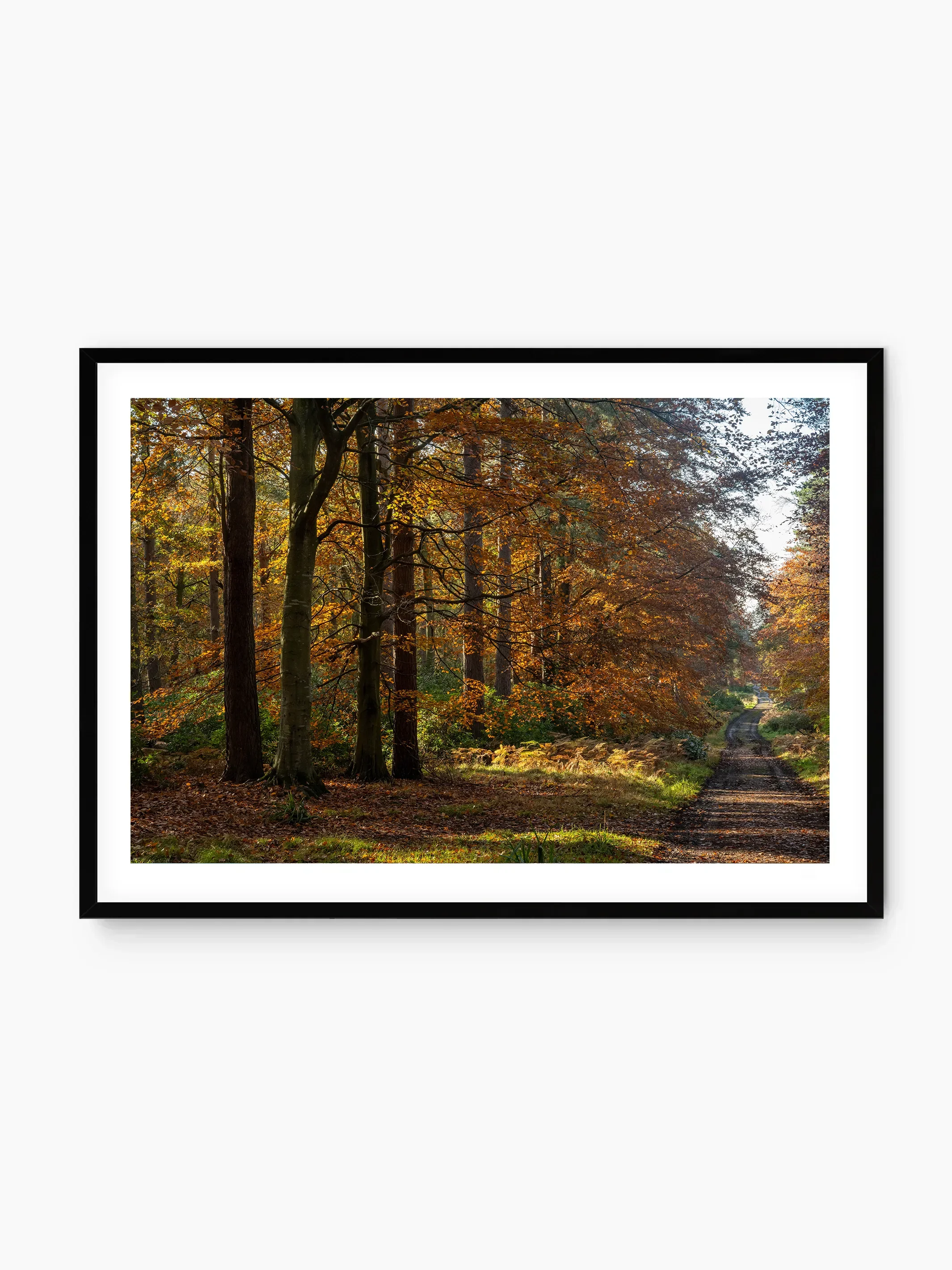 black_template copy.webp