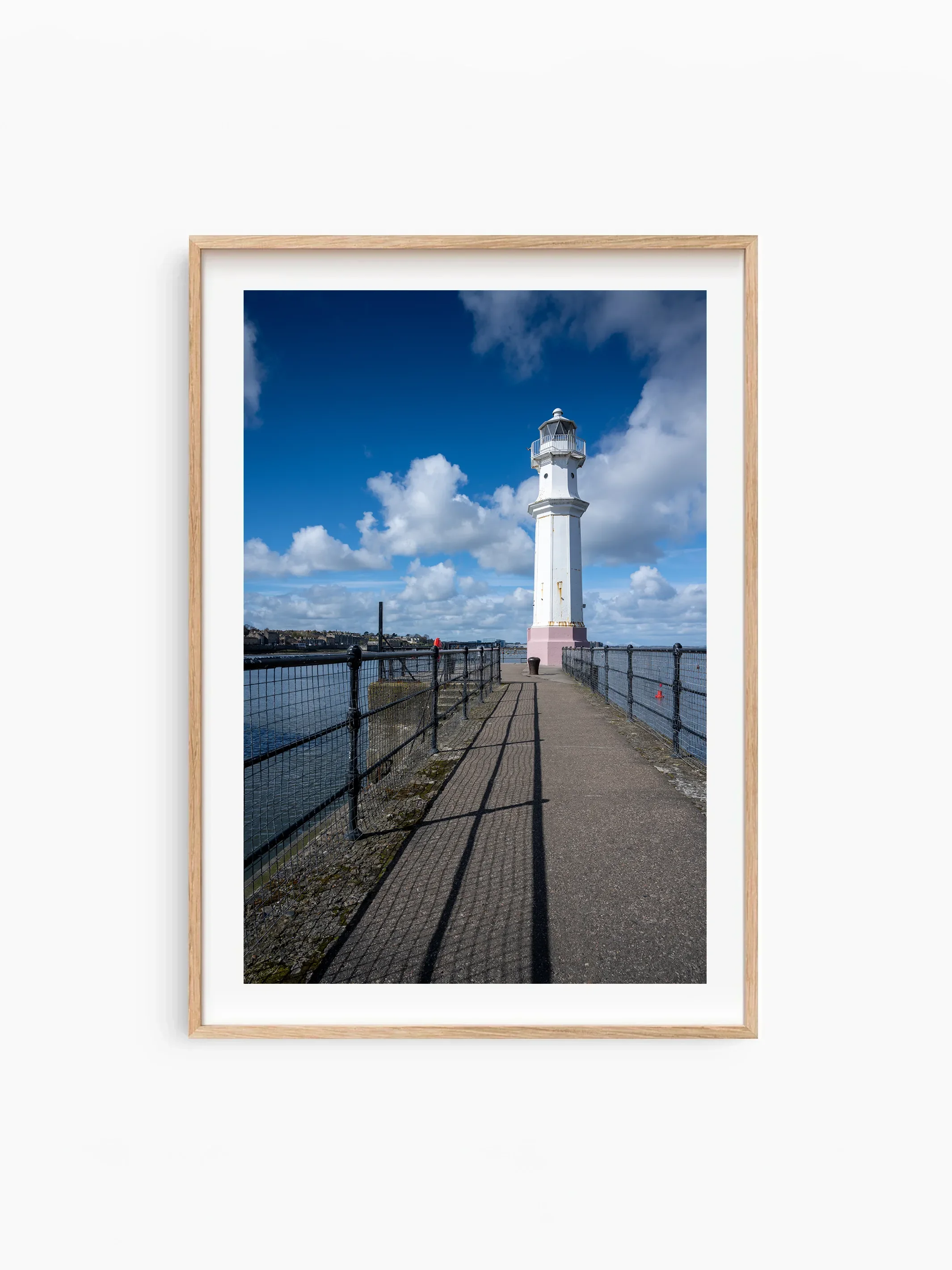 Portrait_Beech_template copy.webp