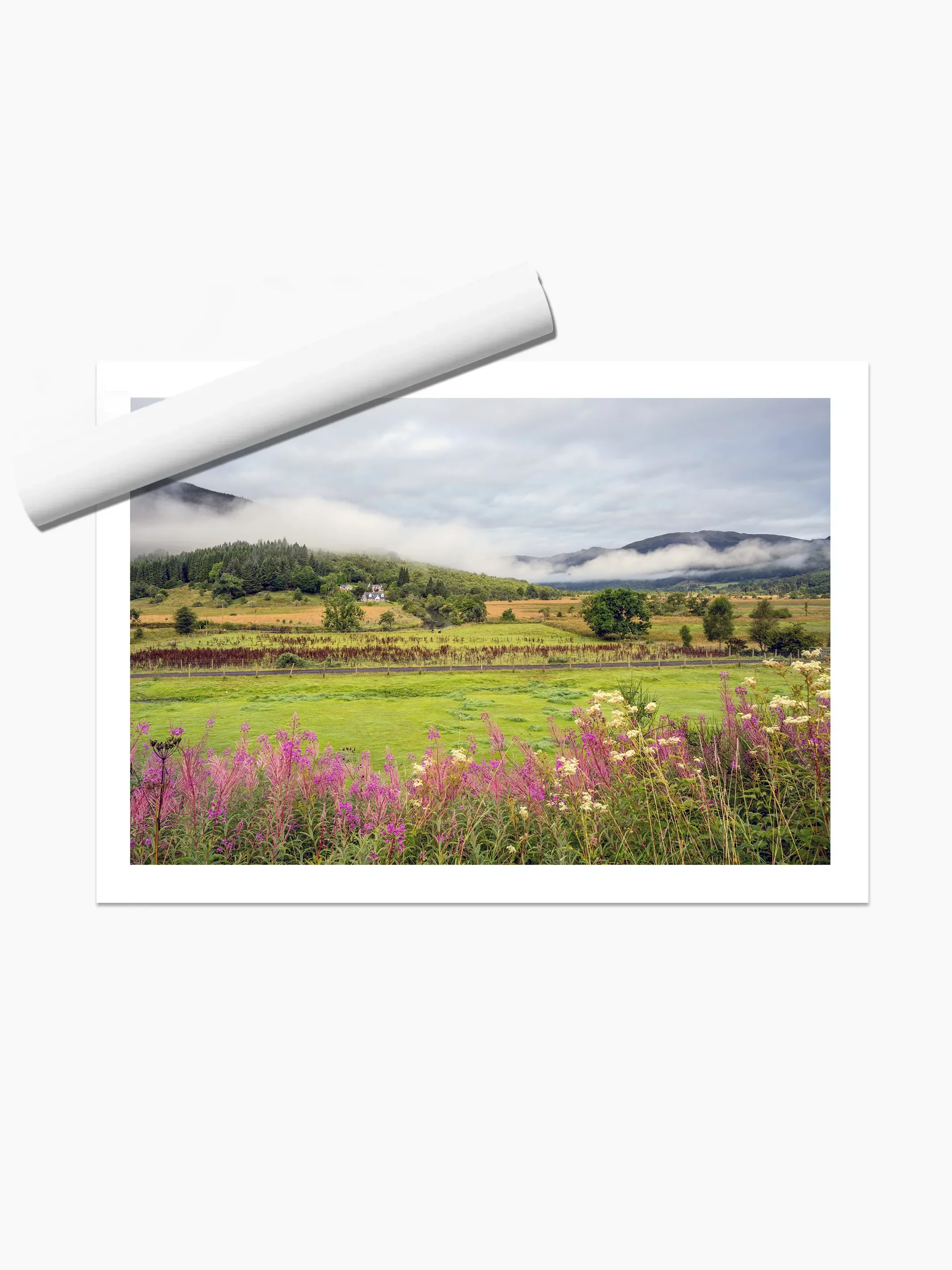 print template copy.webp