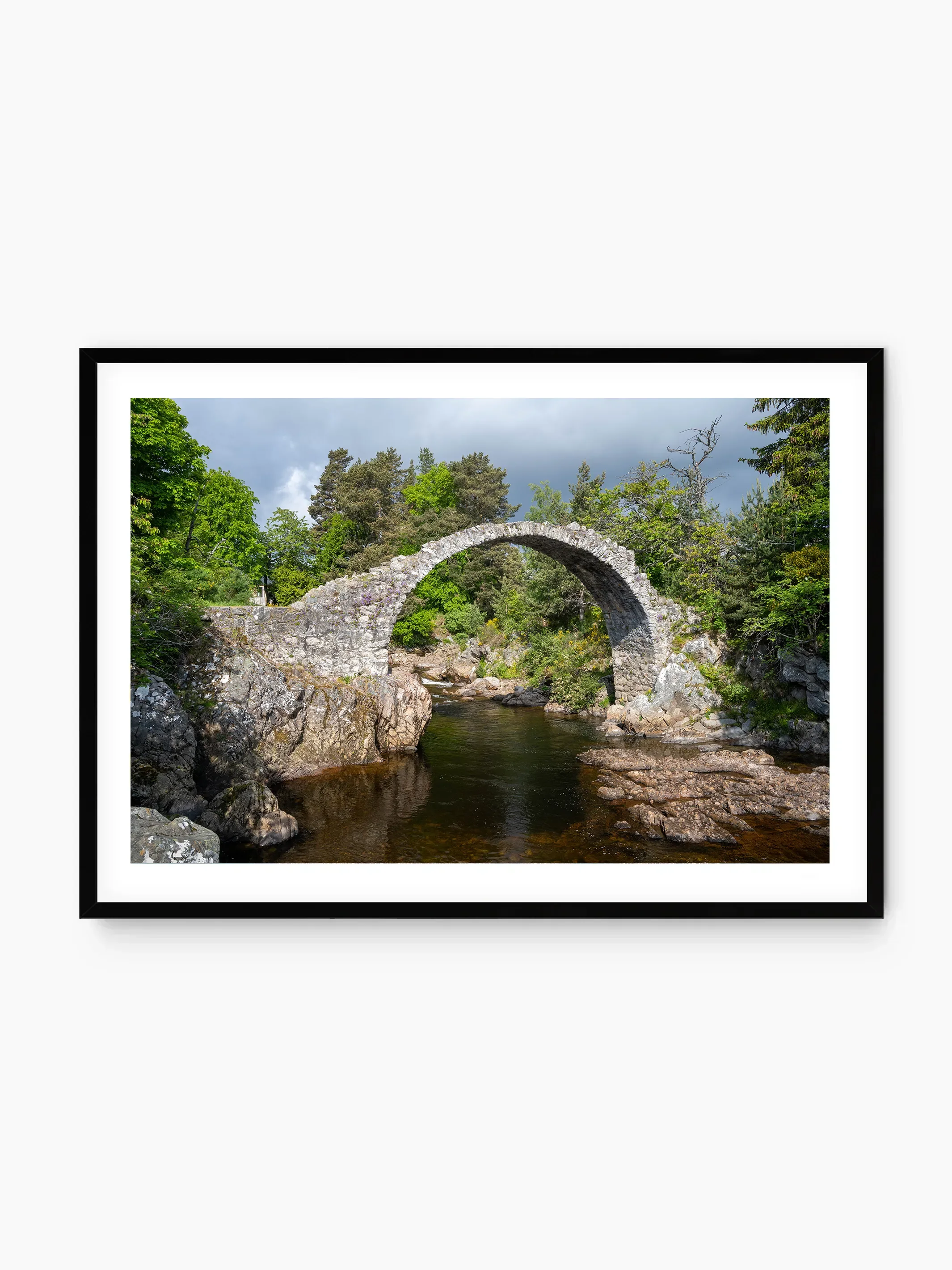 black_template copy.webp