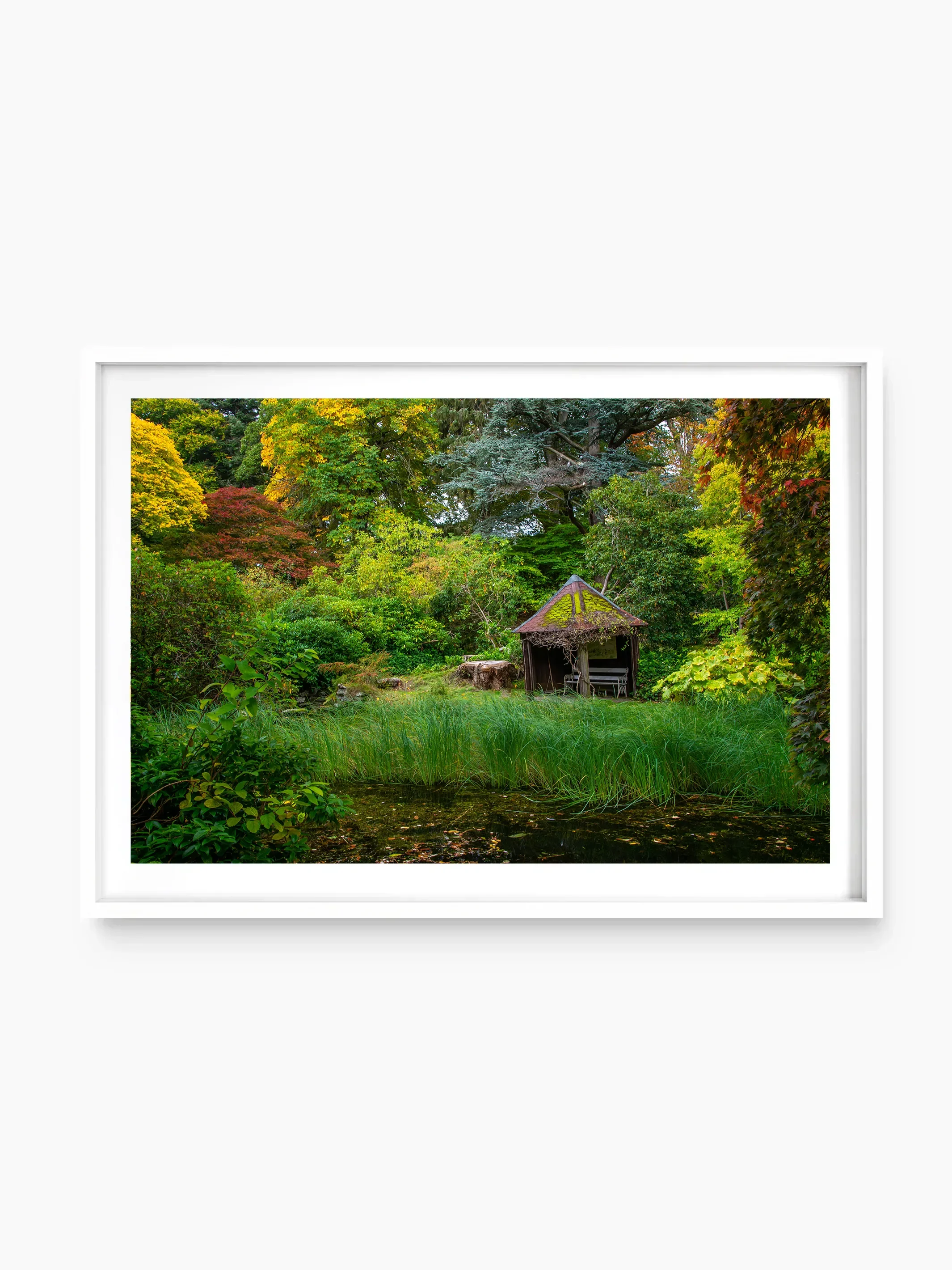 Stobo Japanese Water Gardens, Peebles