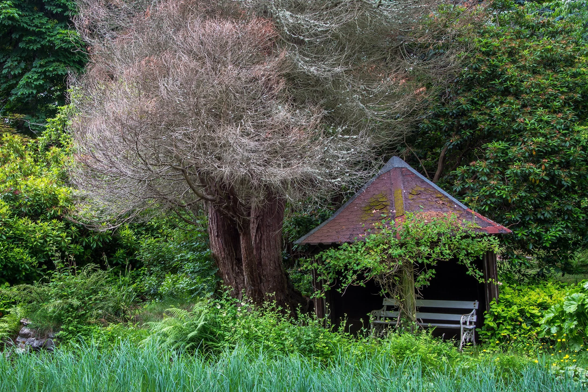 Stobo Japanese Gardens, Nr Peebles