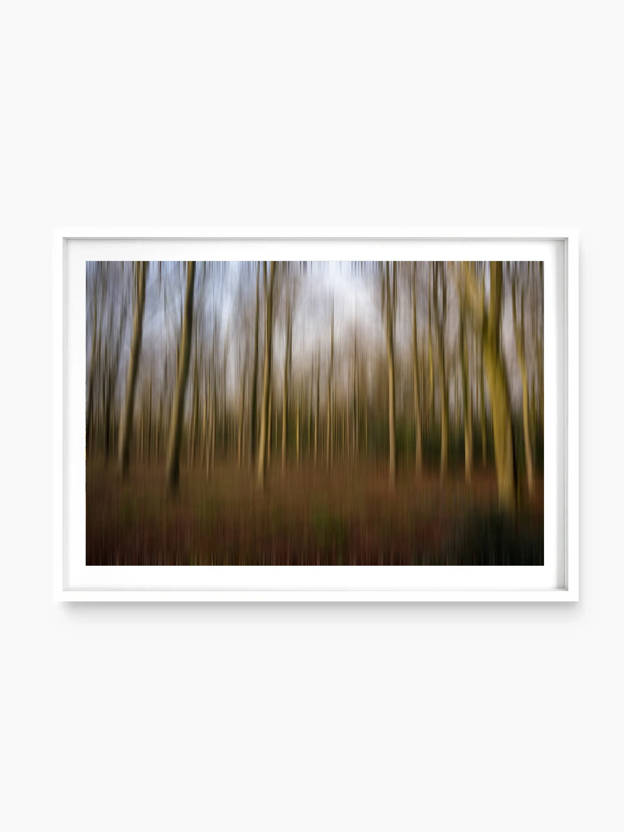 white_template copy.webp