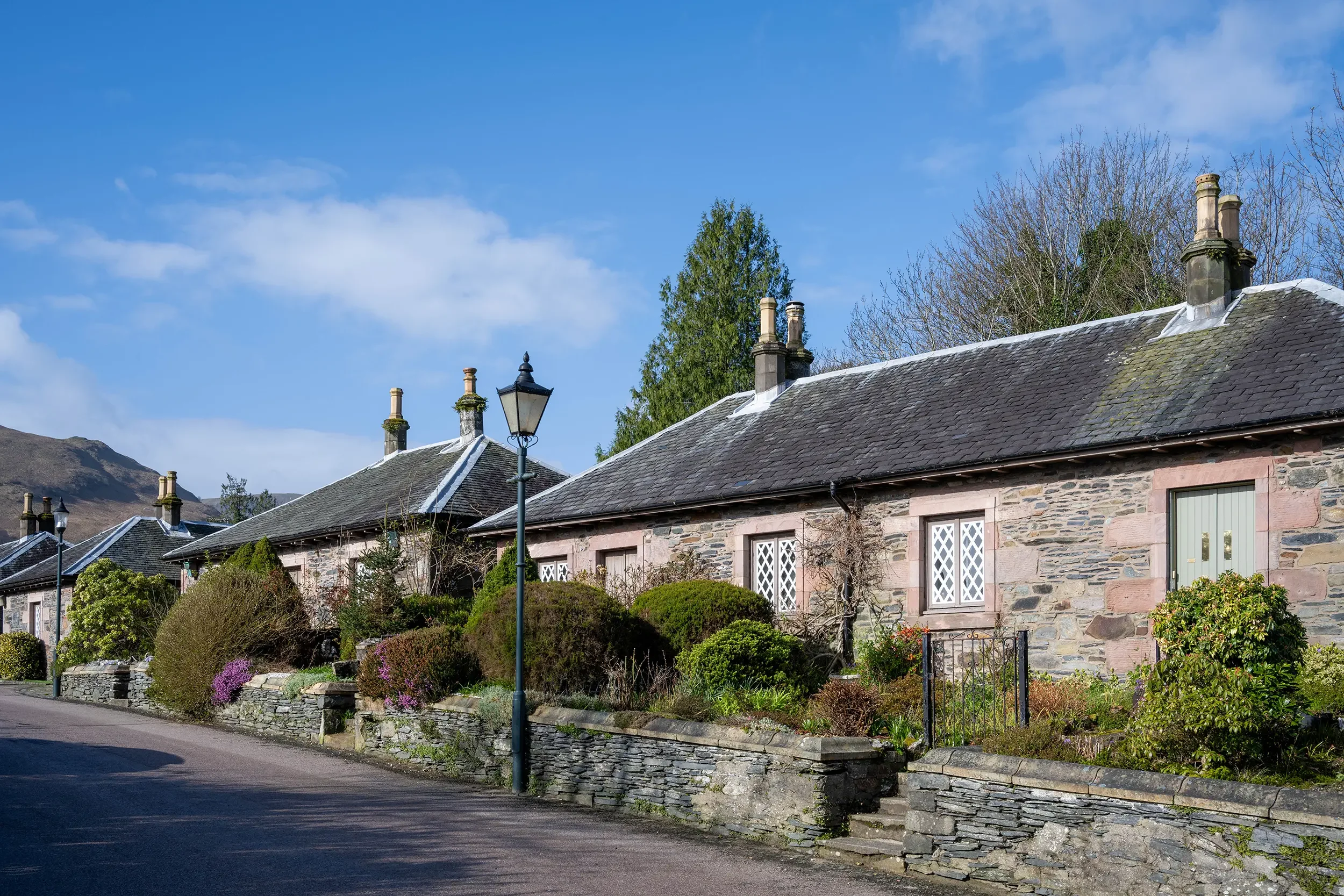 20260327-DSC_0368 copy.webp