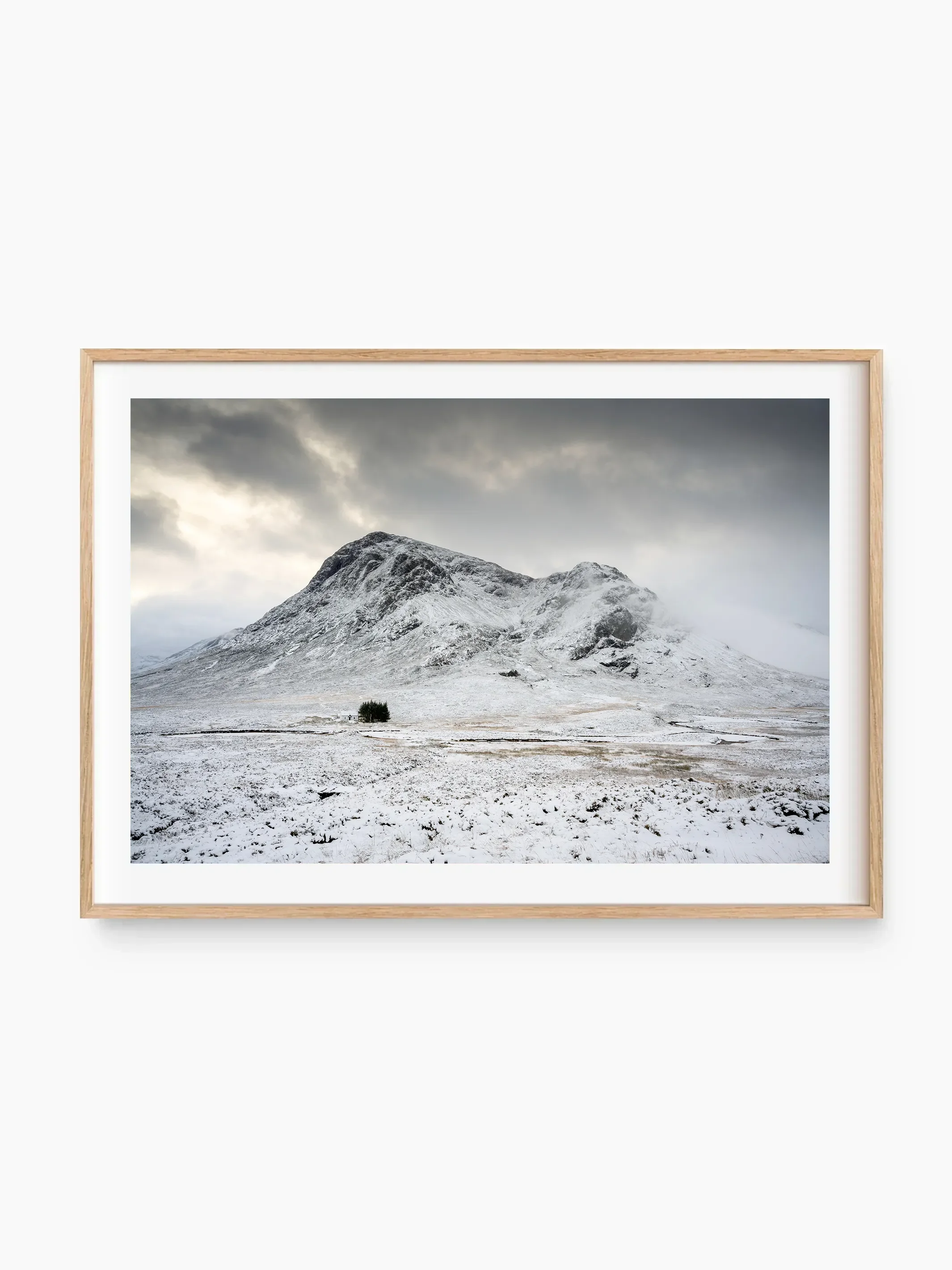 beech_template copy.webp