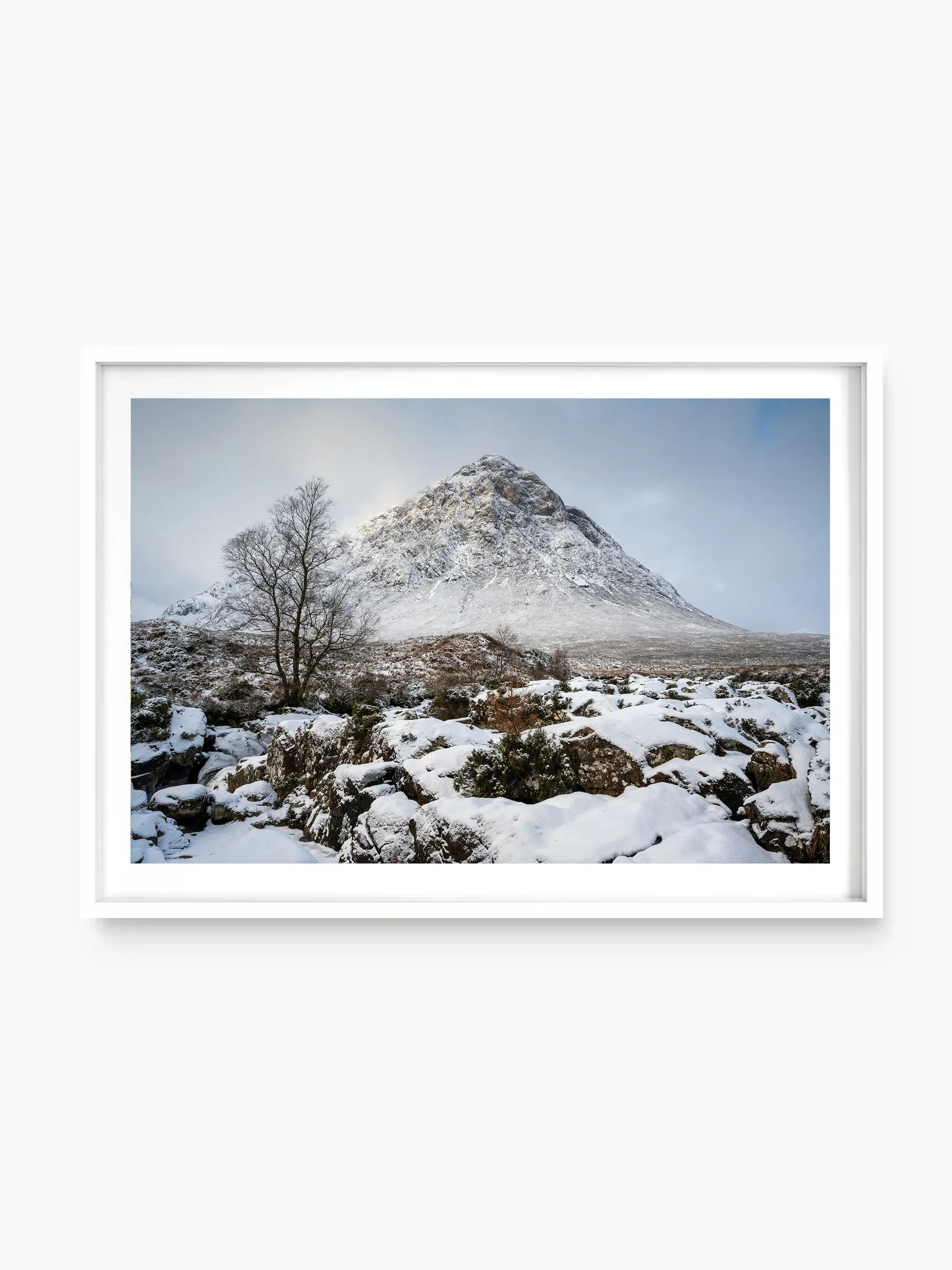 white_template copy.webp