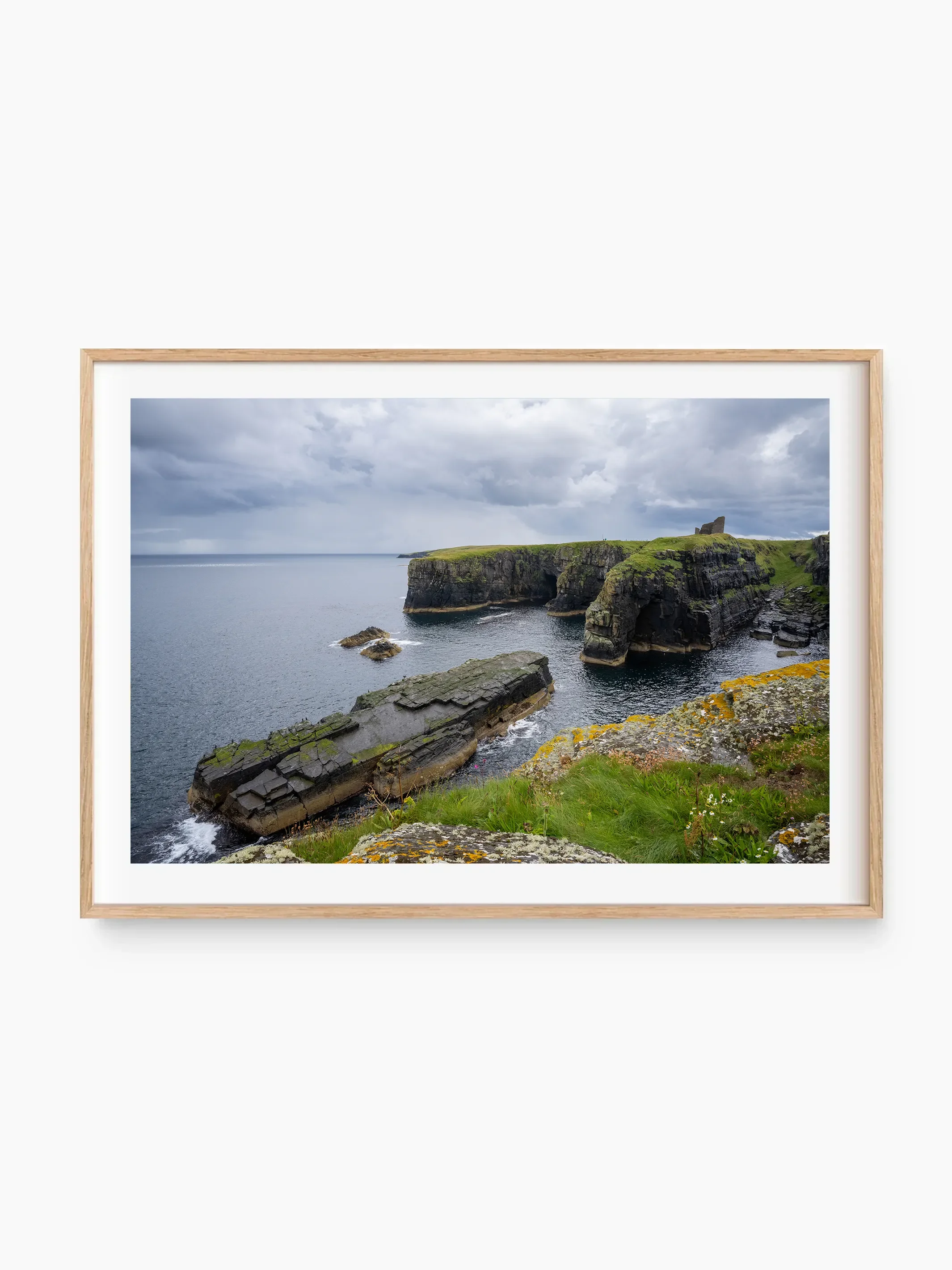 beech_template copy.webp