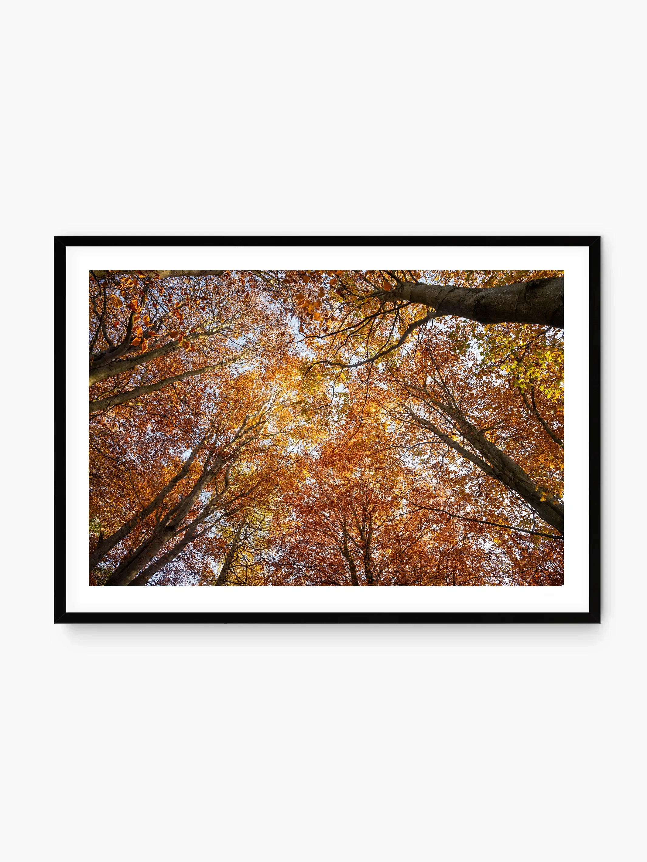 black_template copy.webp