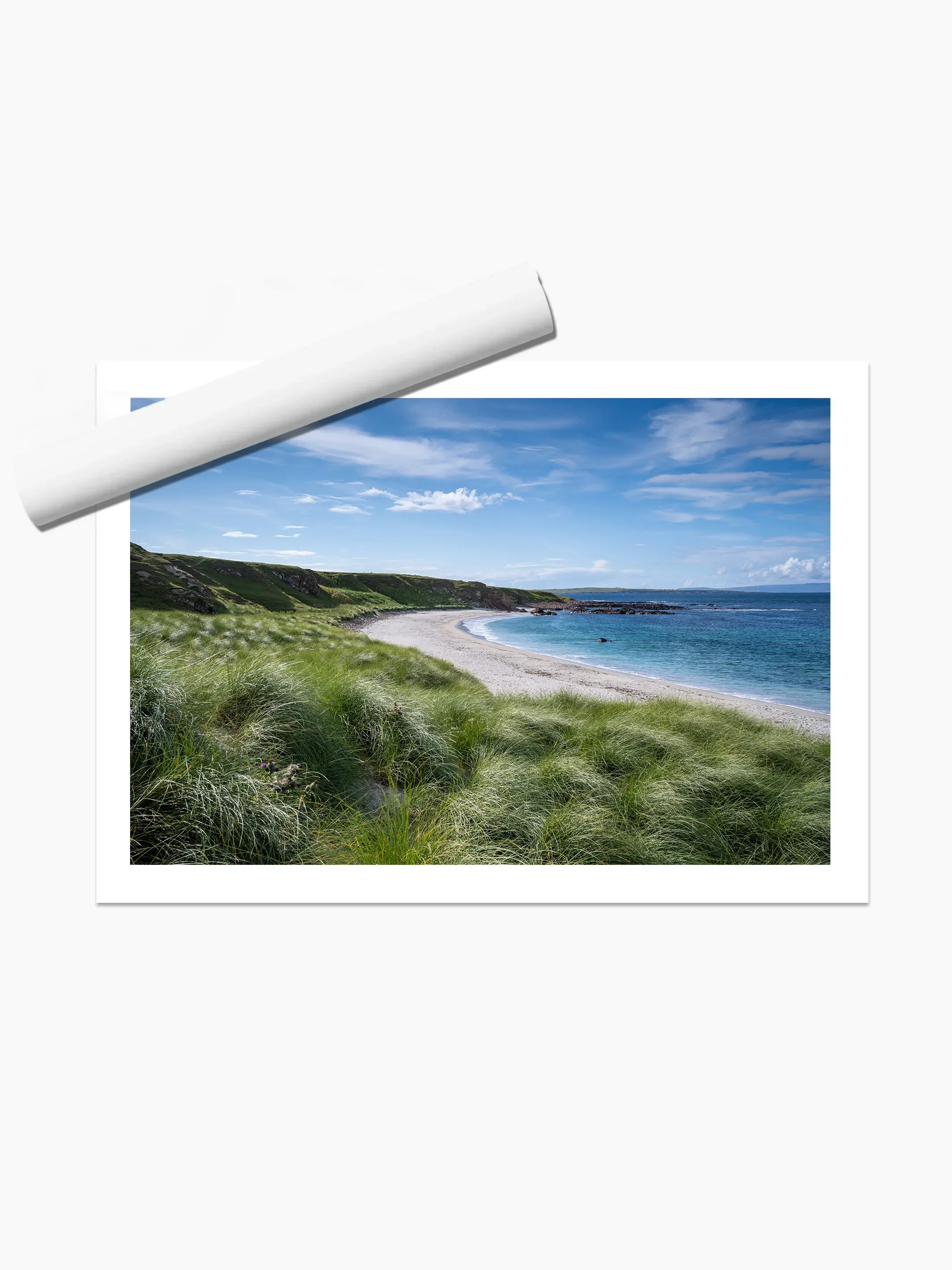 print template copy.webp