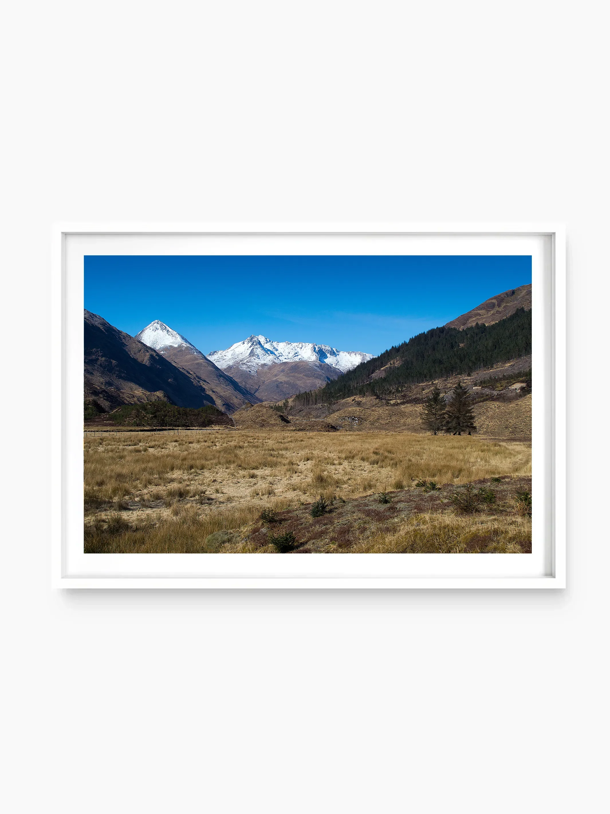 white_template copy.webp