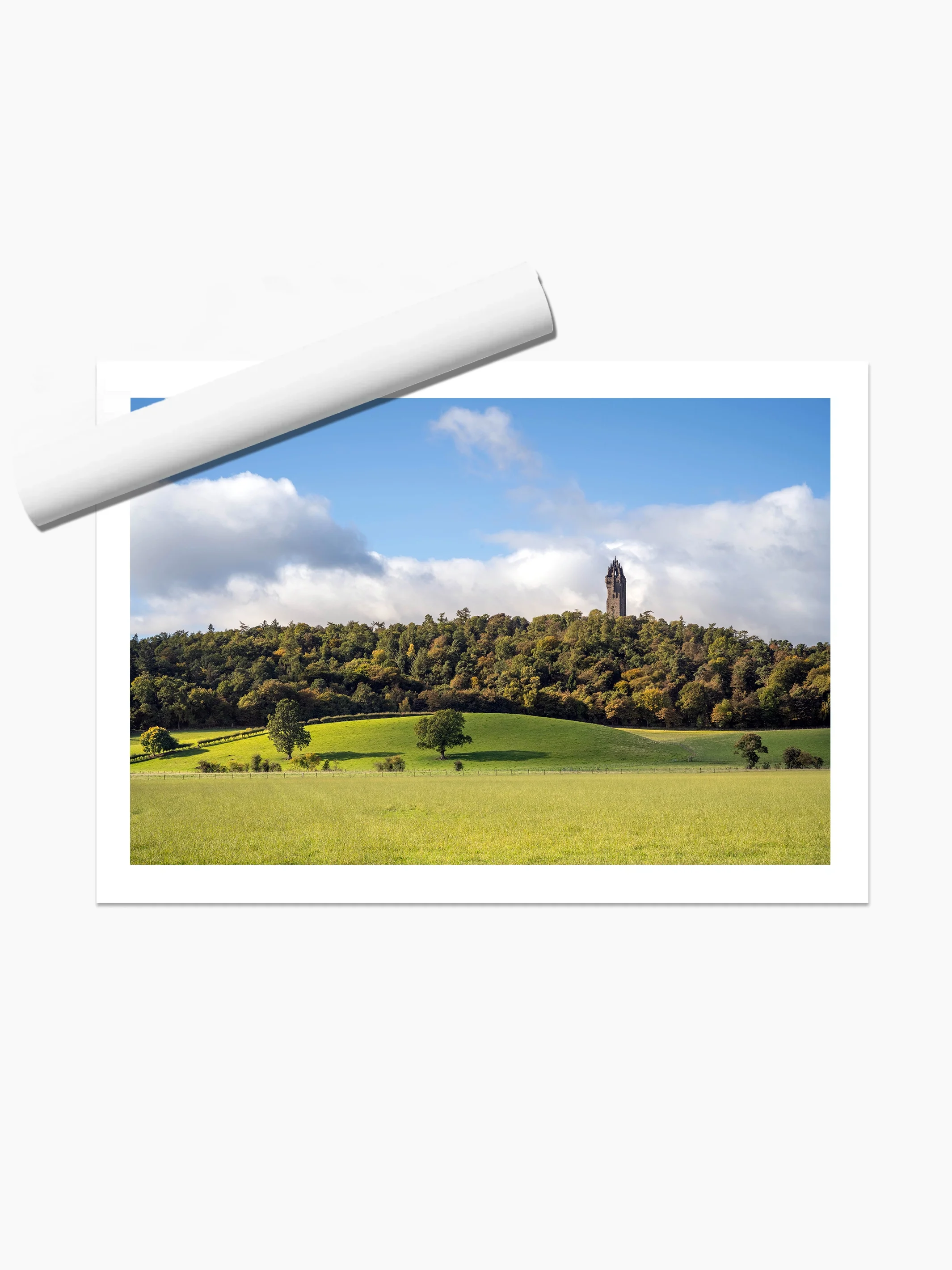 print template copy.webp