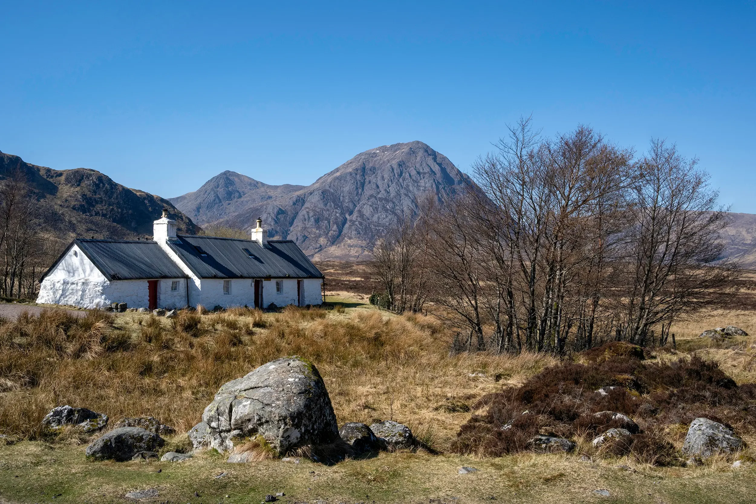 20250403-DSC_6701-Edit copy 2.webp