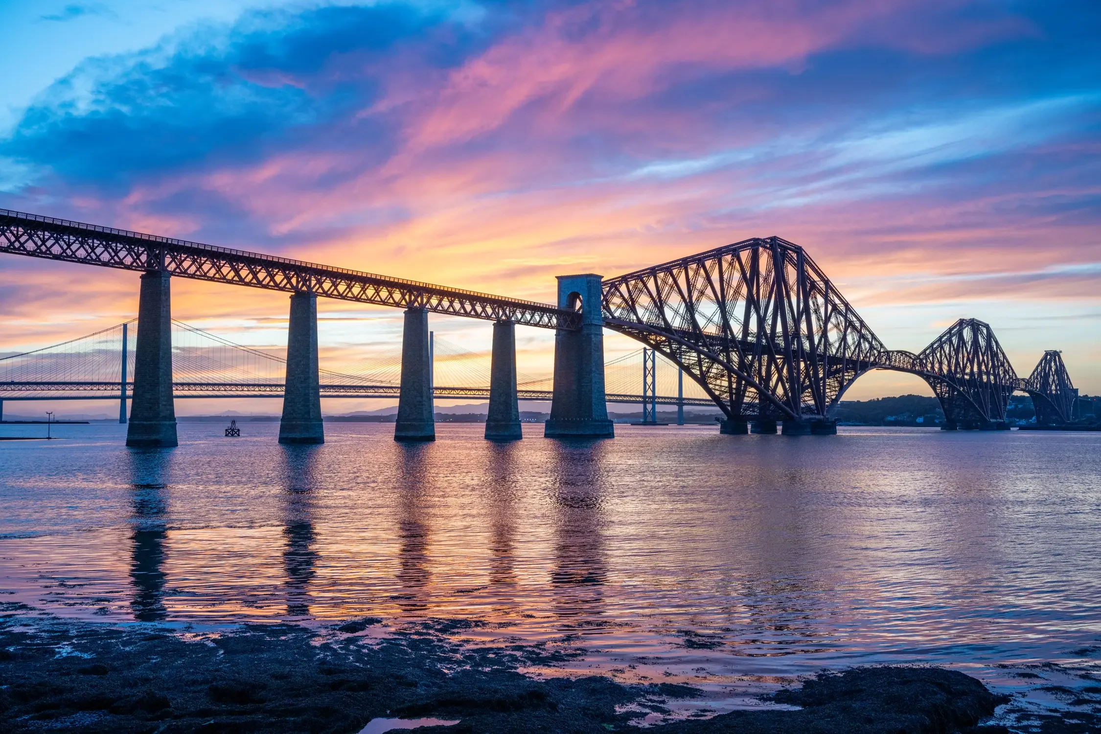 20240730-DSC_3580 copy.webp