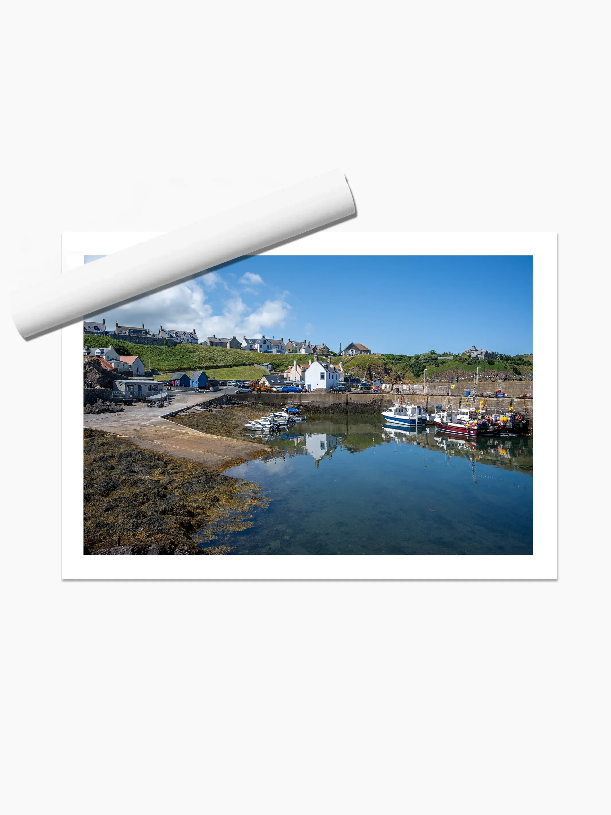 print template copy.webp