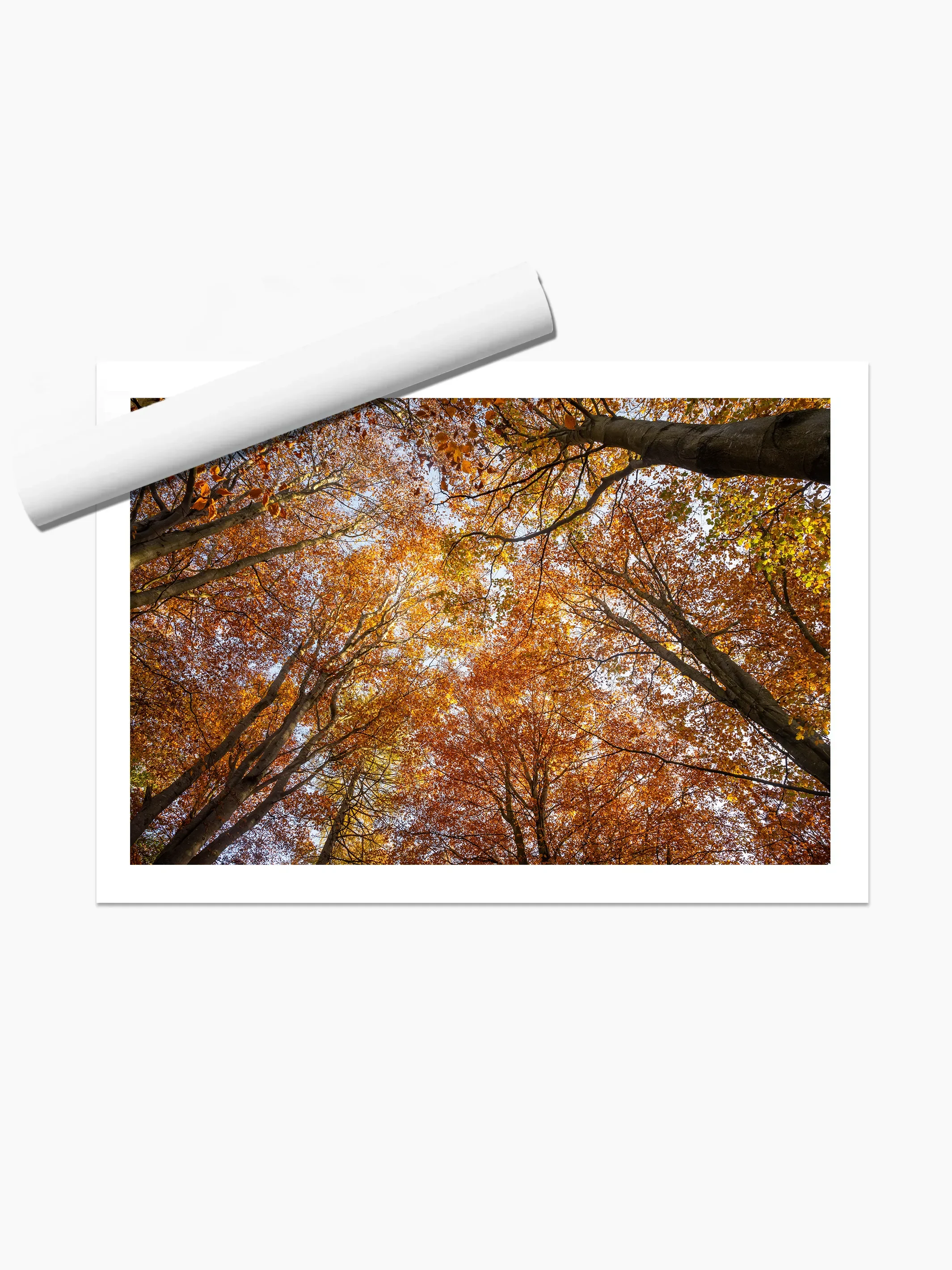 print template copy.webp