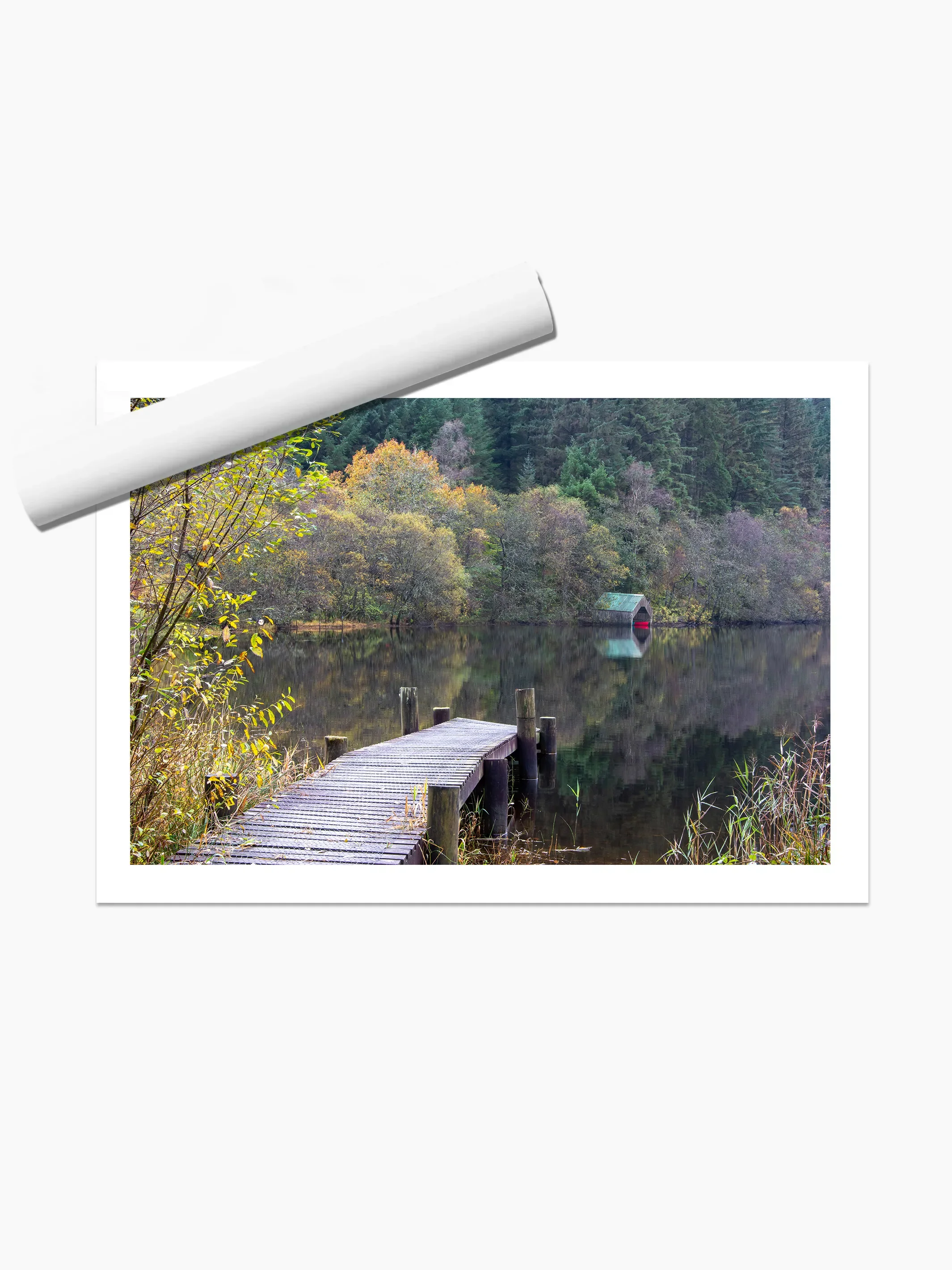 print template copy.webp