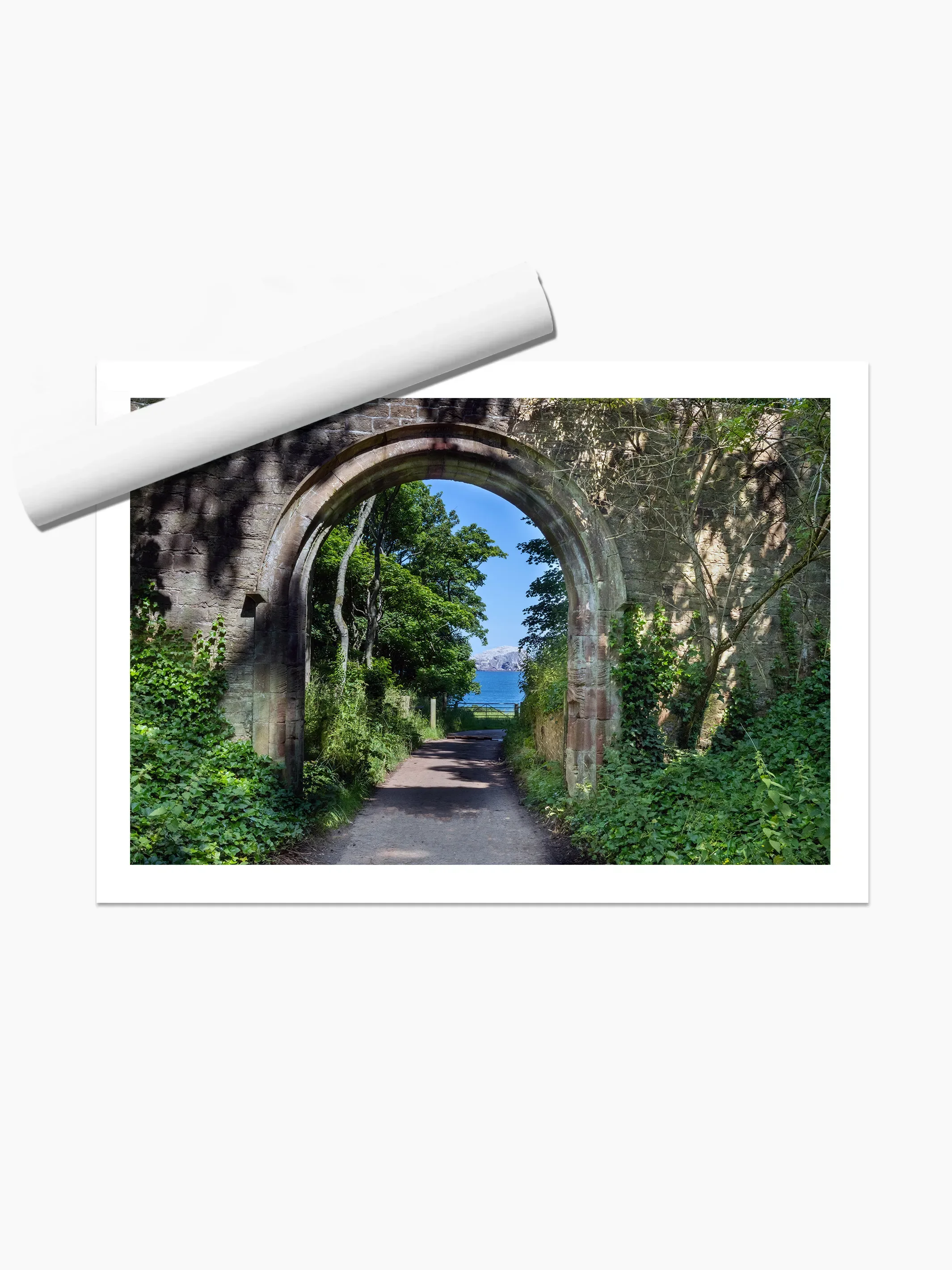 print template copy 2.webp