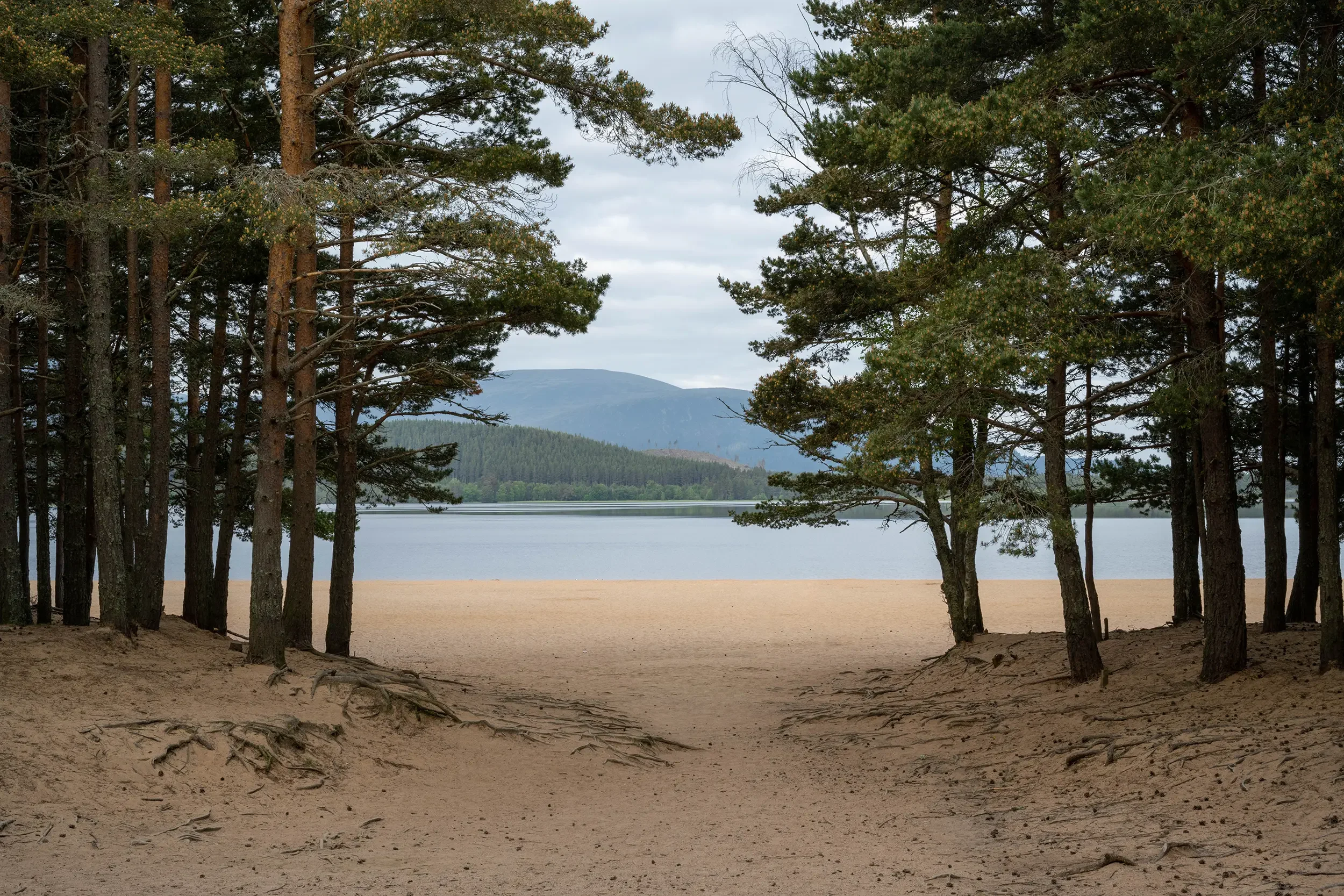 Loch Morlich, Aviemore