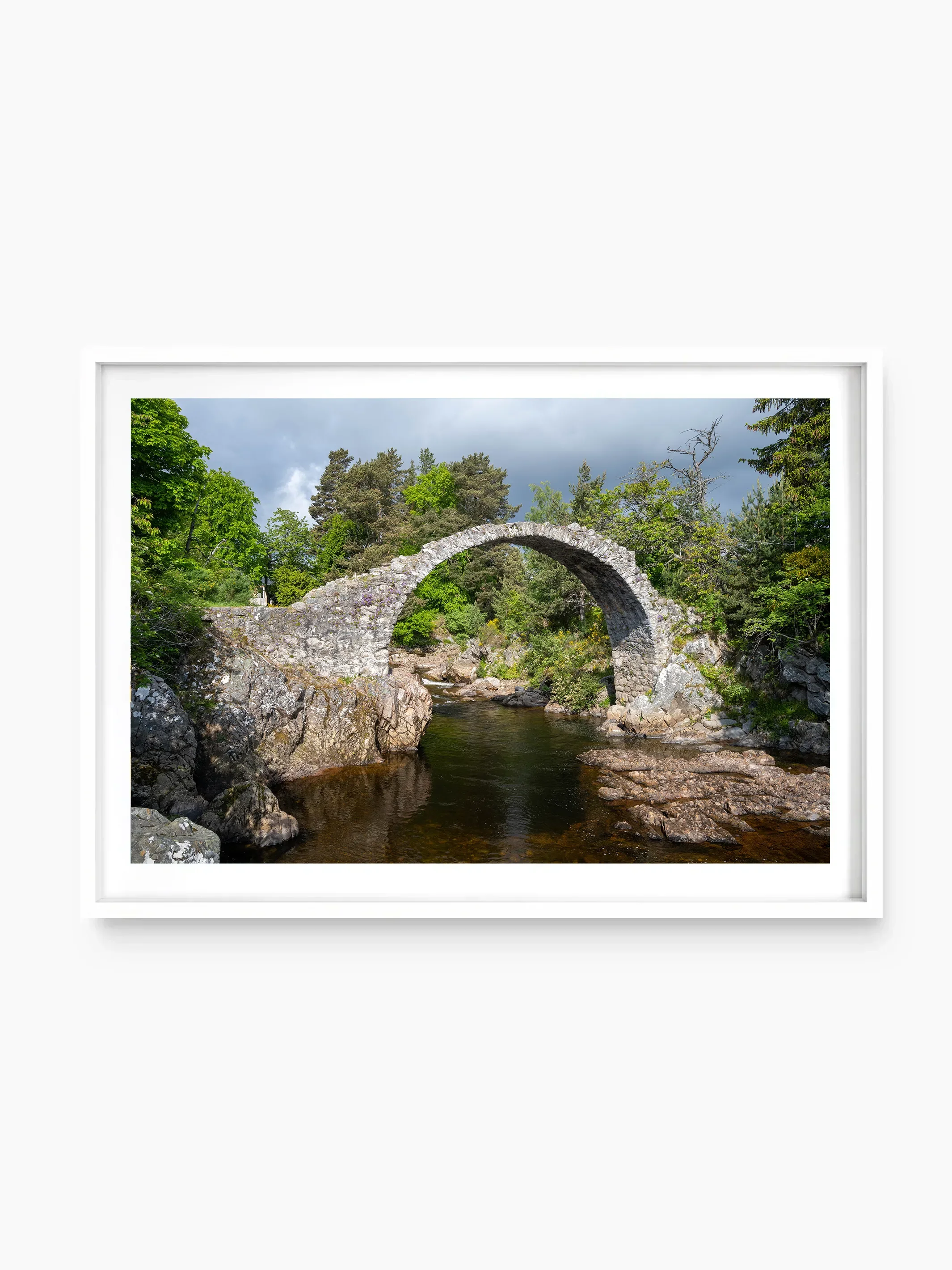 white_template copy.webp