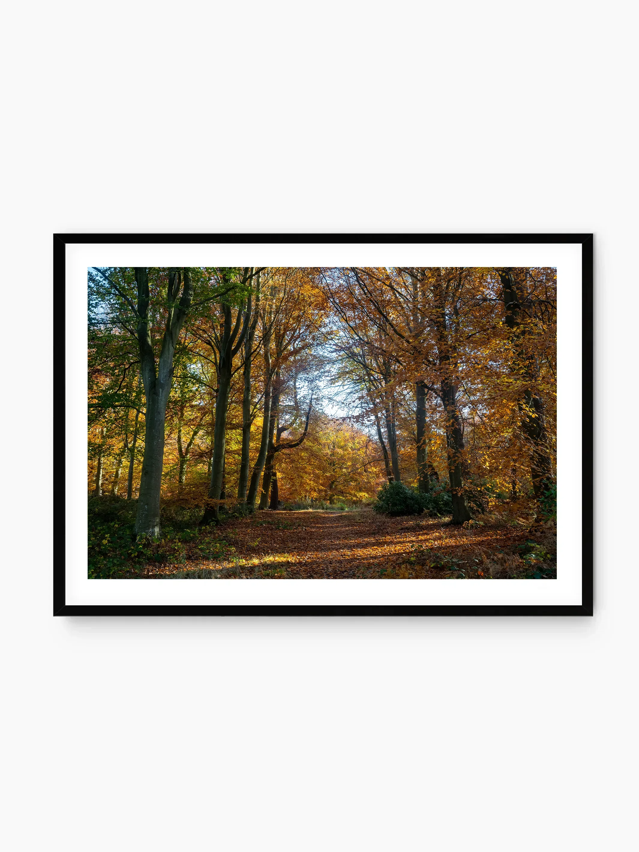 black_template copy.webp