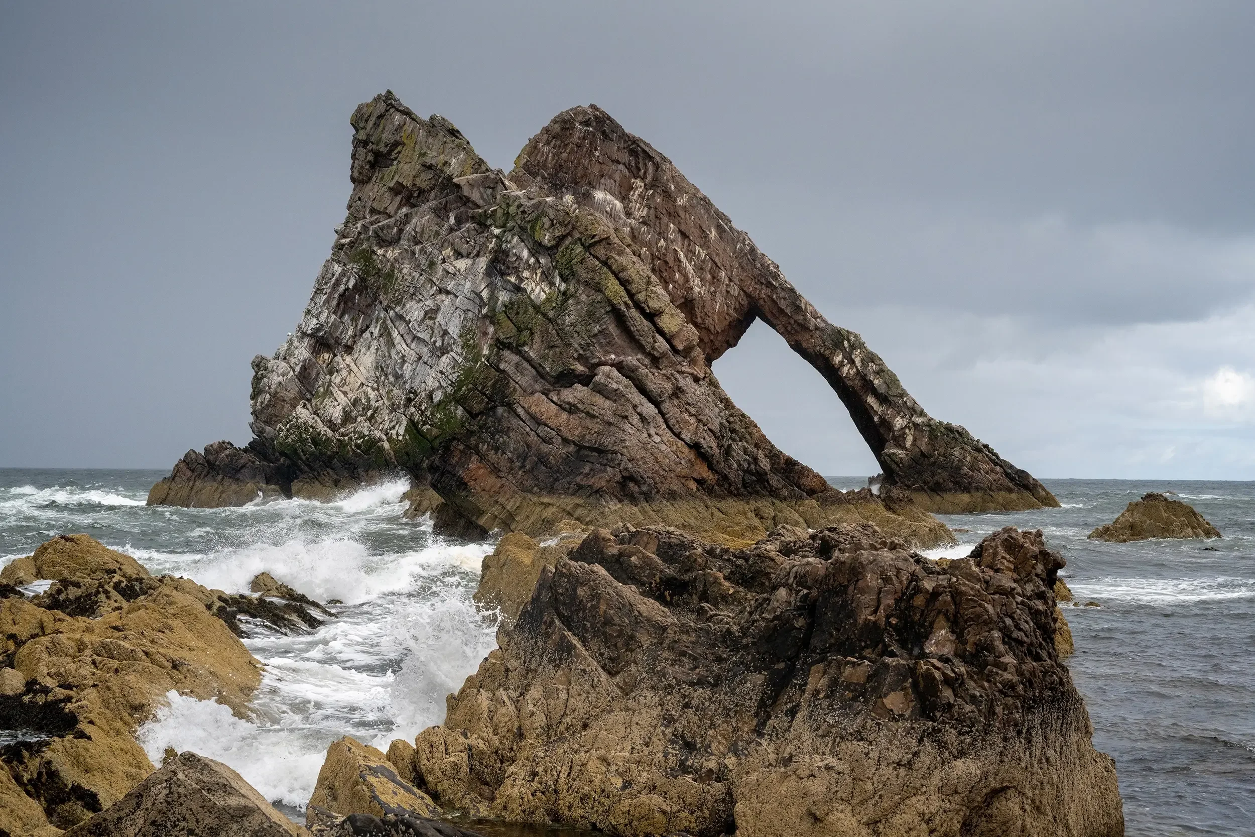 20230808-DSC_9876 copy 2.webp