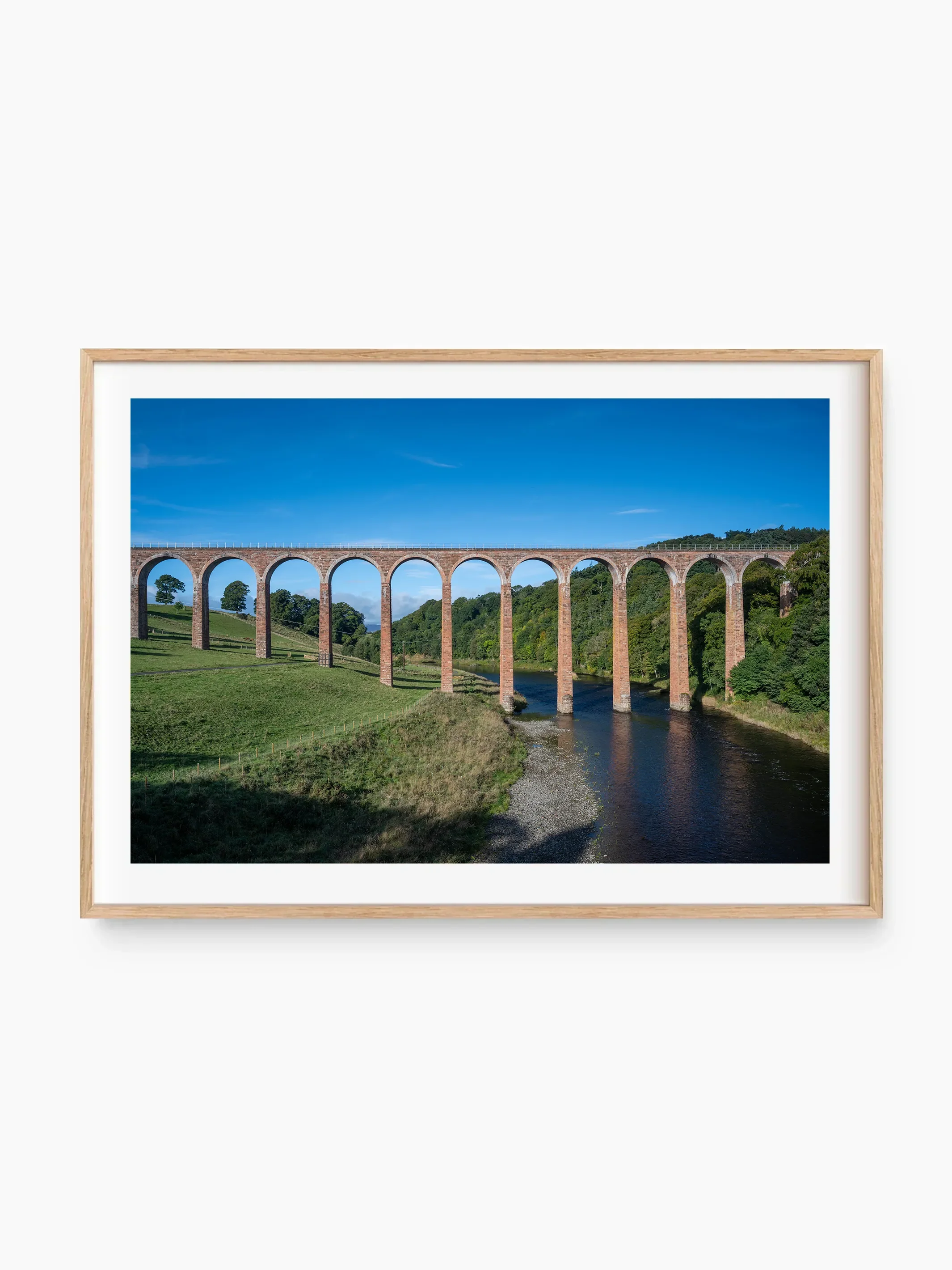 beech_template copy.webp