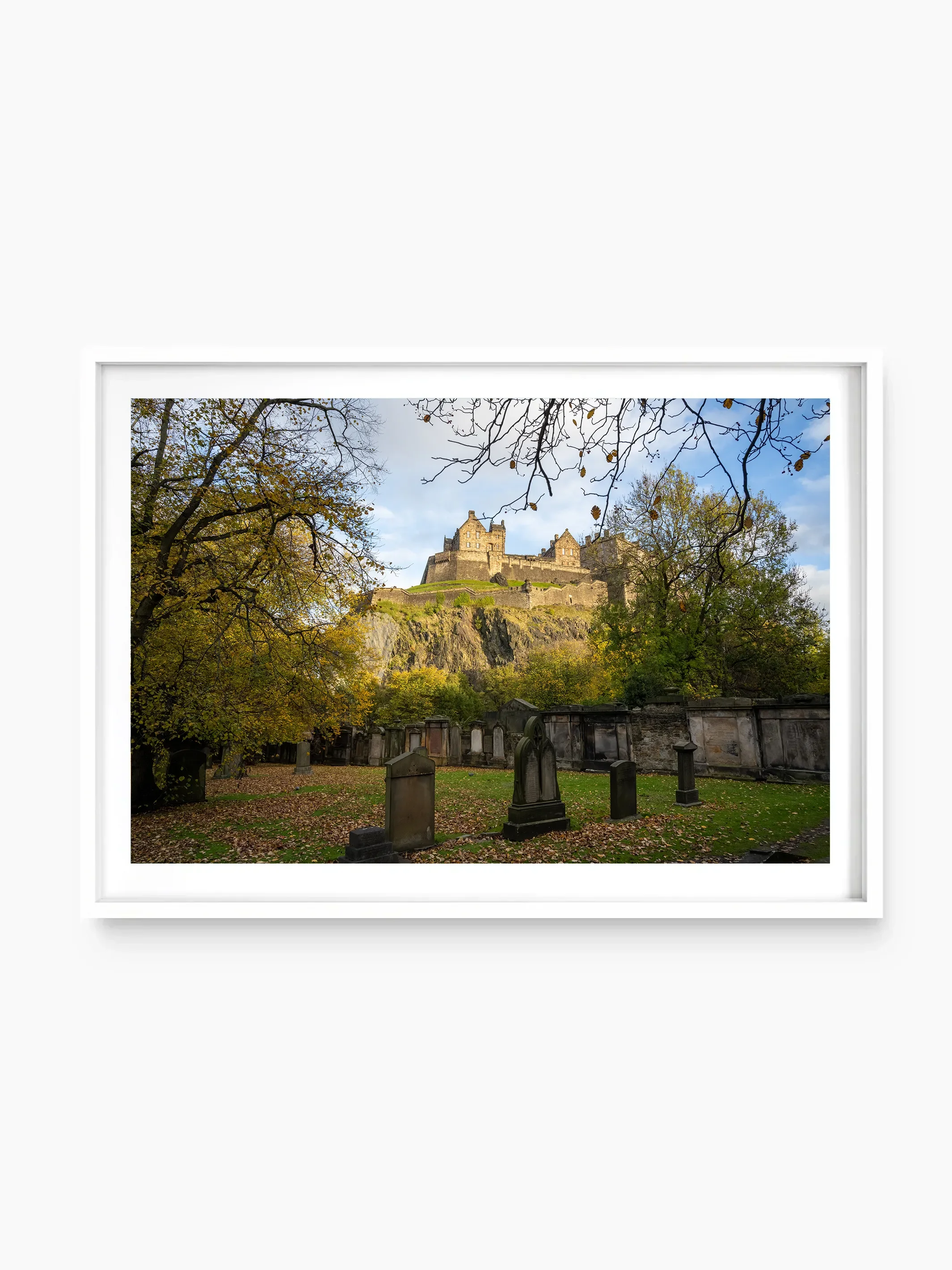 white_template copy.webp