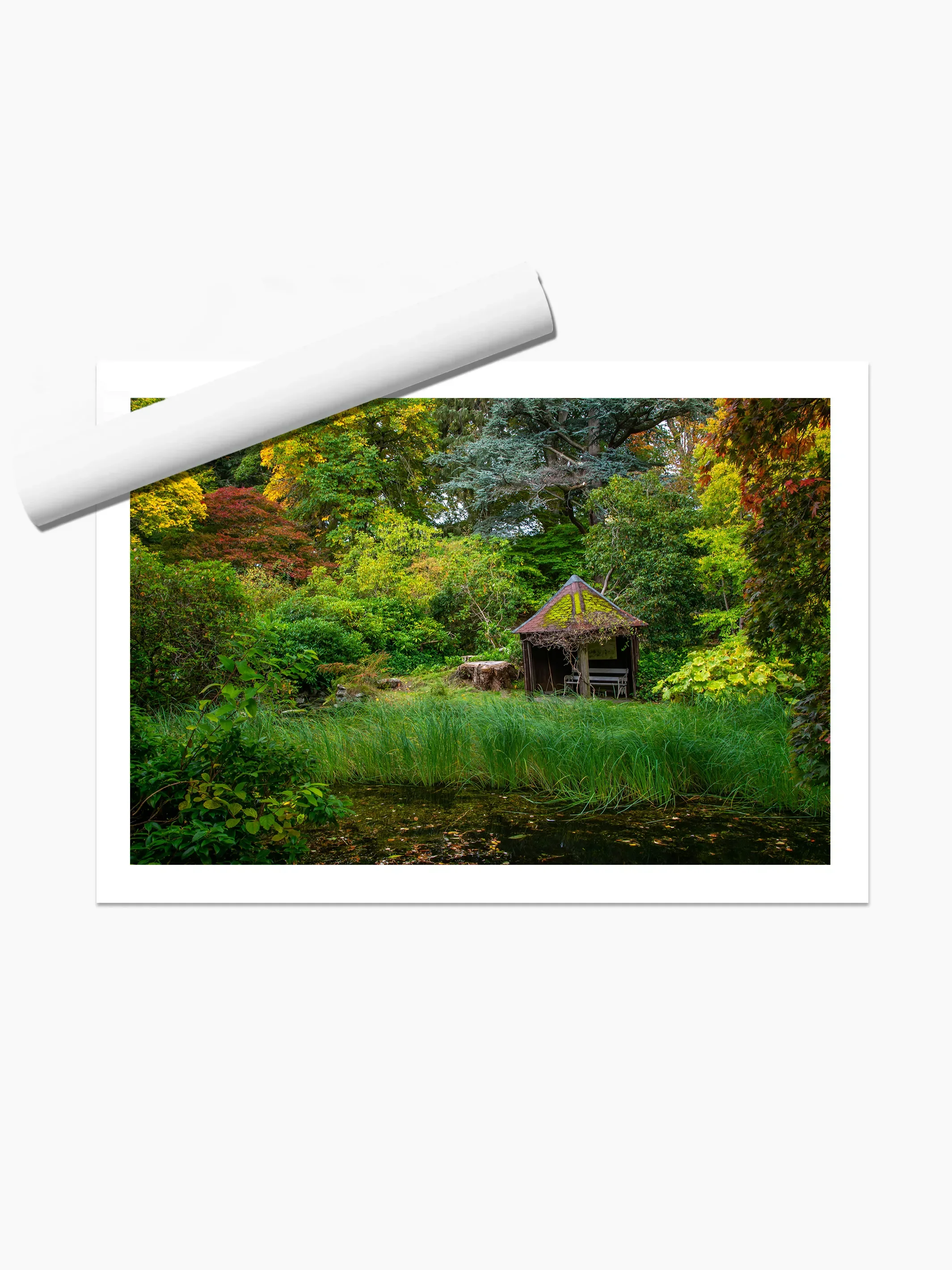 print template copy.webp