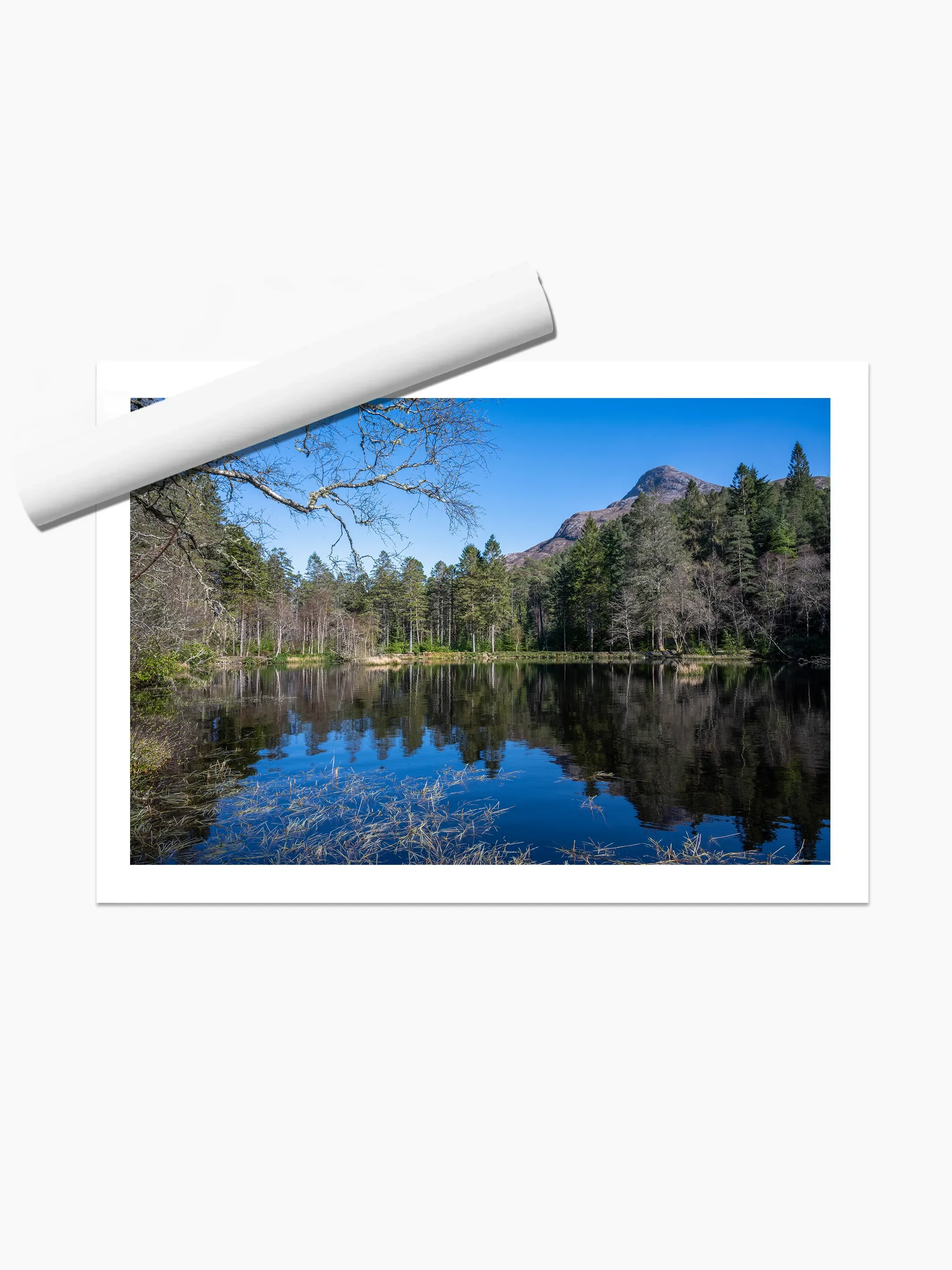 print template copy.webp