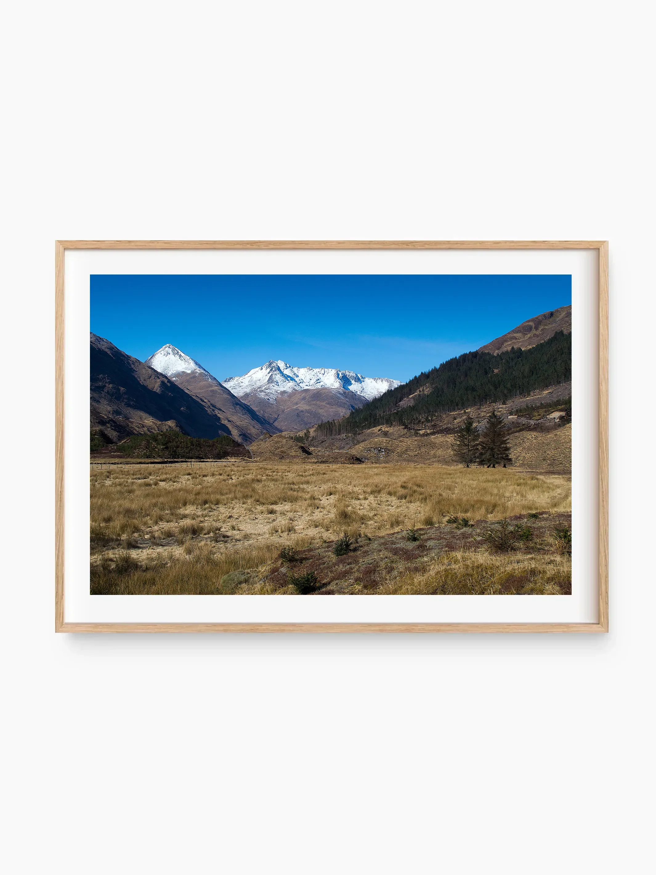 beech_template copy.webp