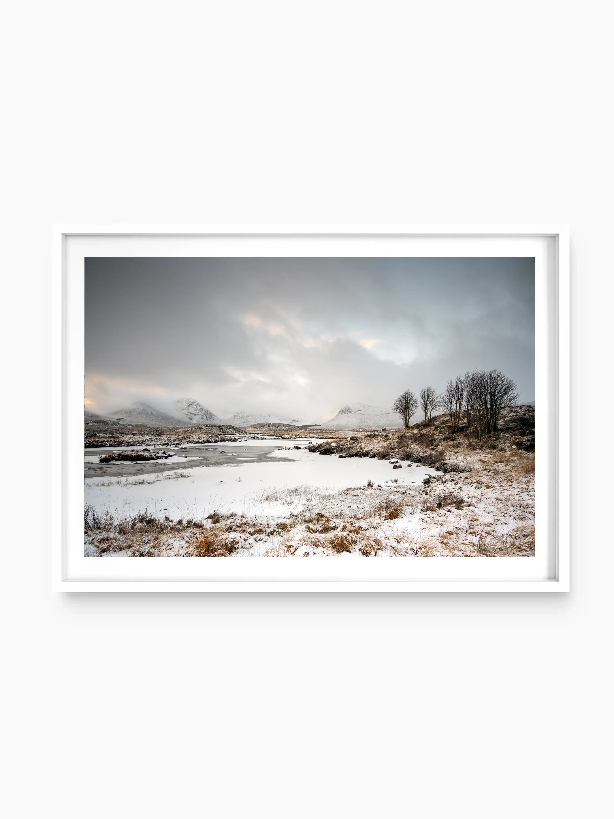 white_template copy.webp