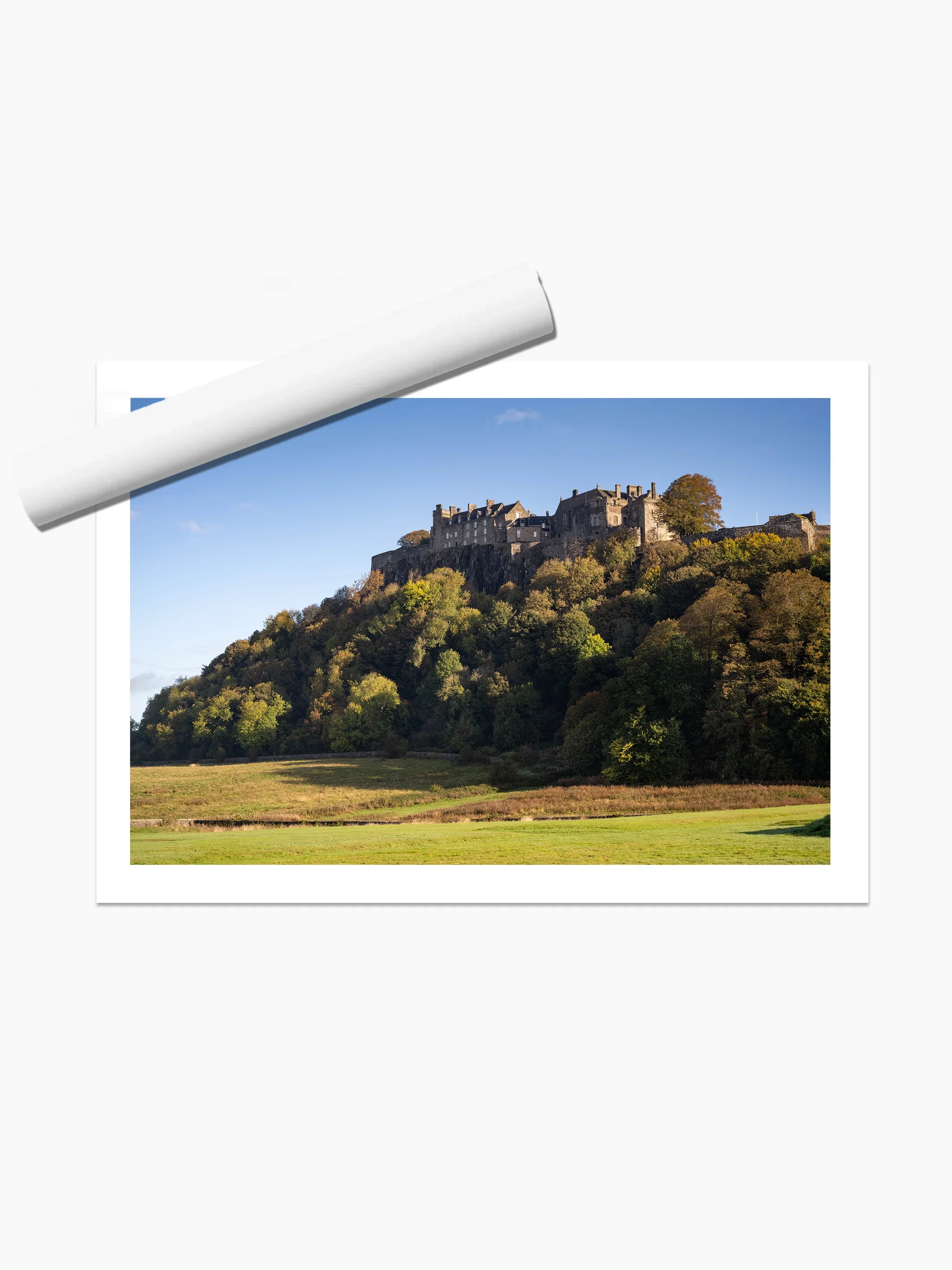 print template copy.webp