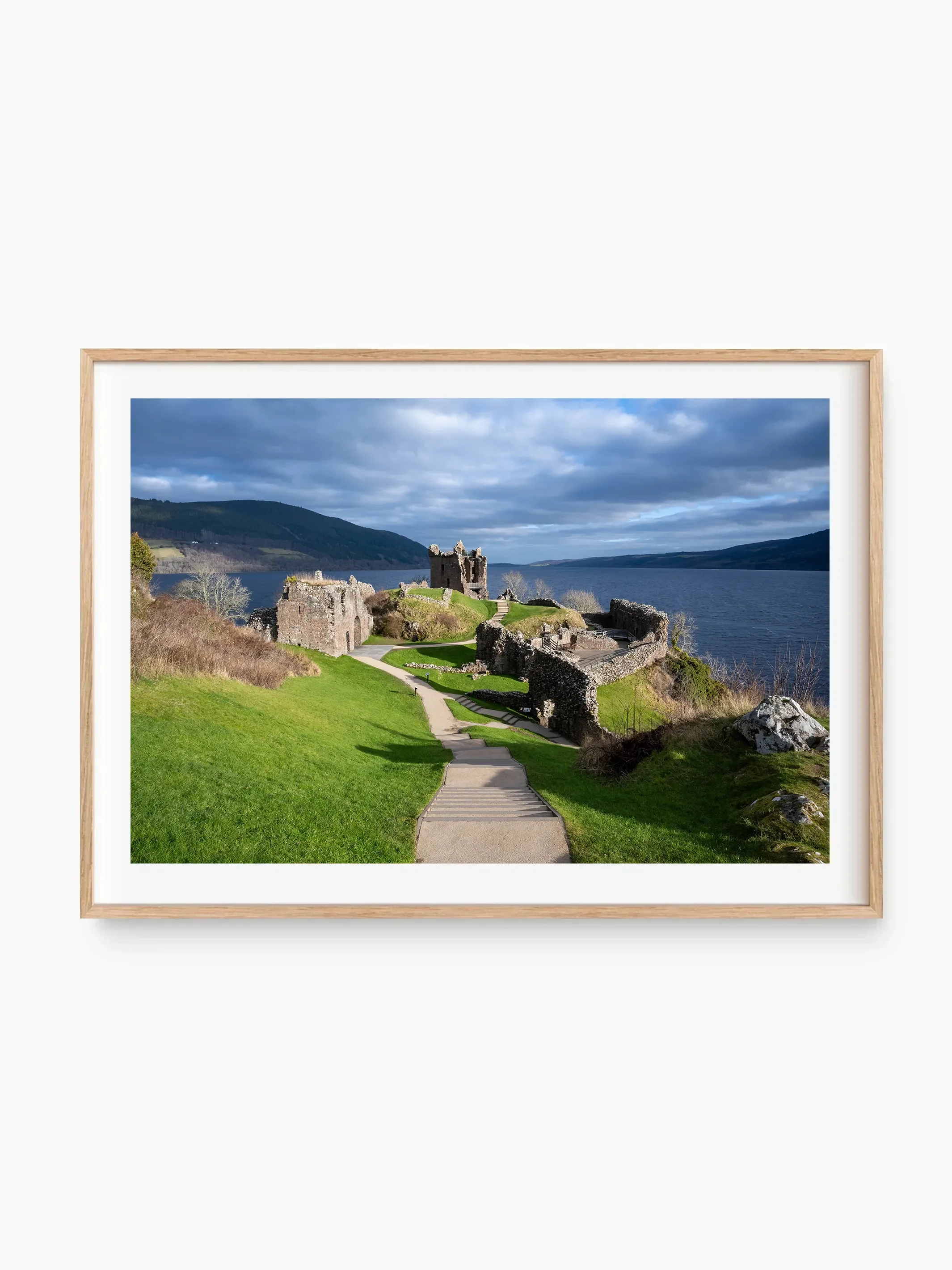 beech_template copy.webp