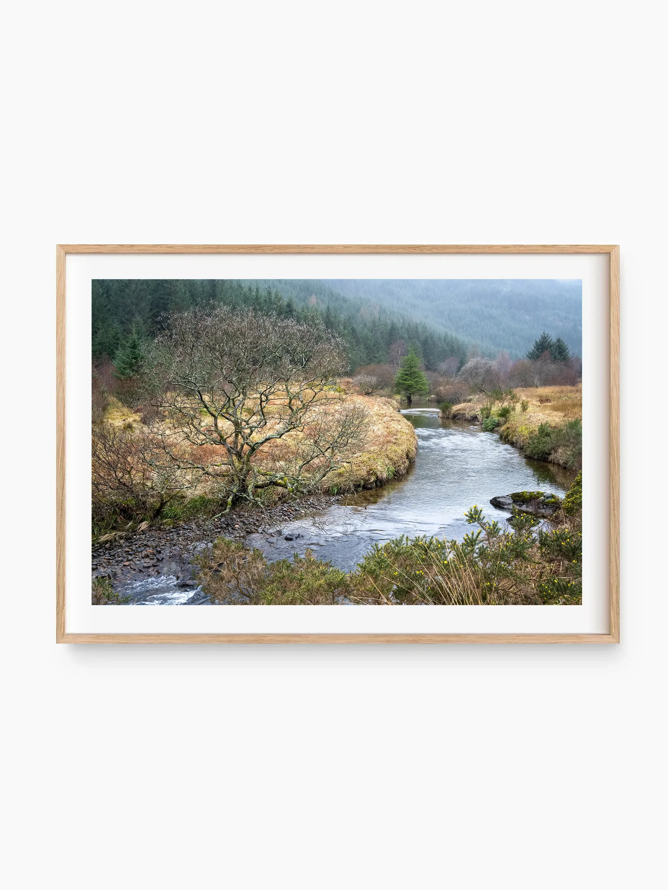 beech_template copy.webp