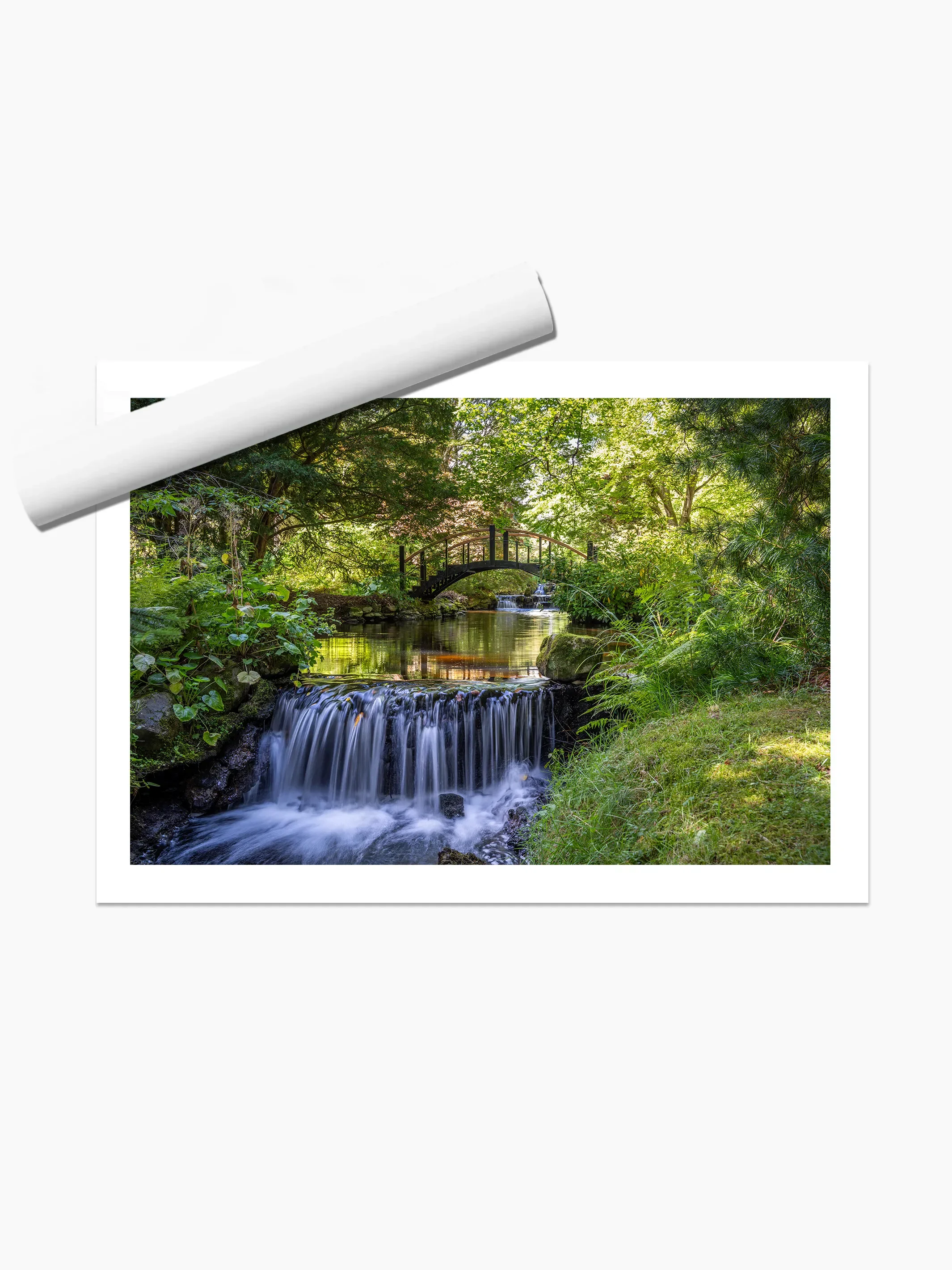 print template copy.webp