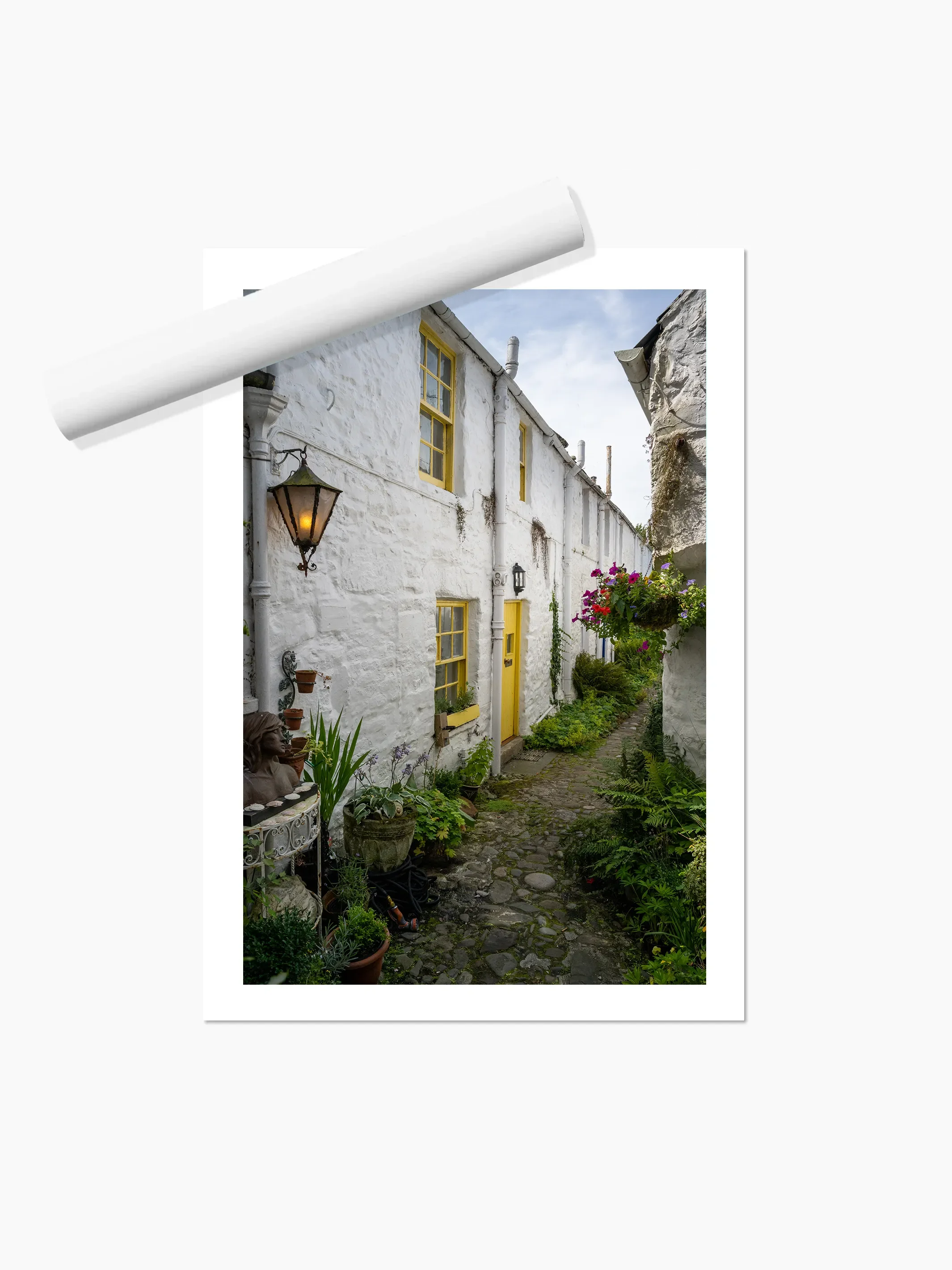 Portrait_print copy.webp