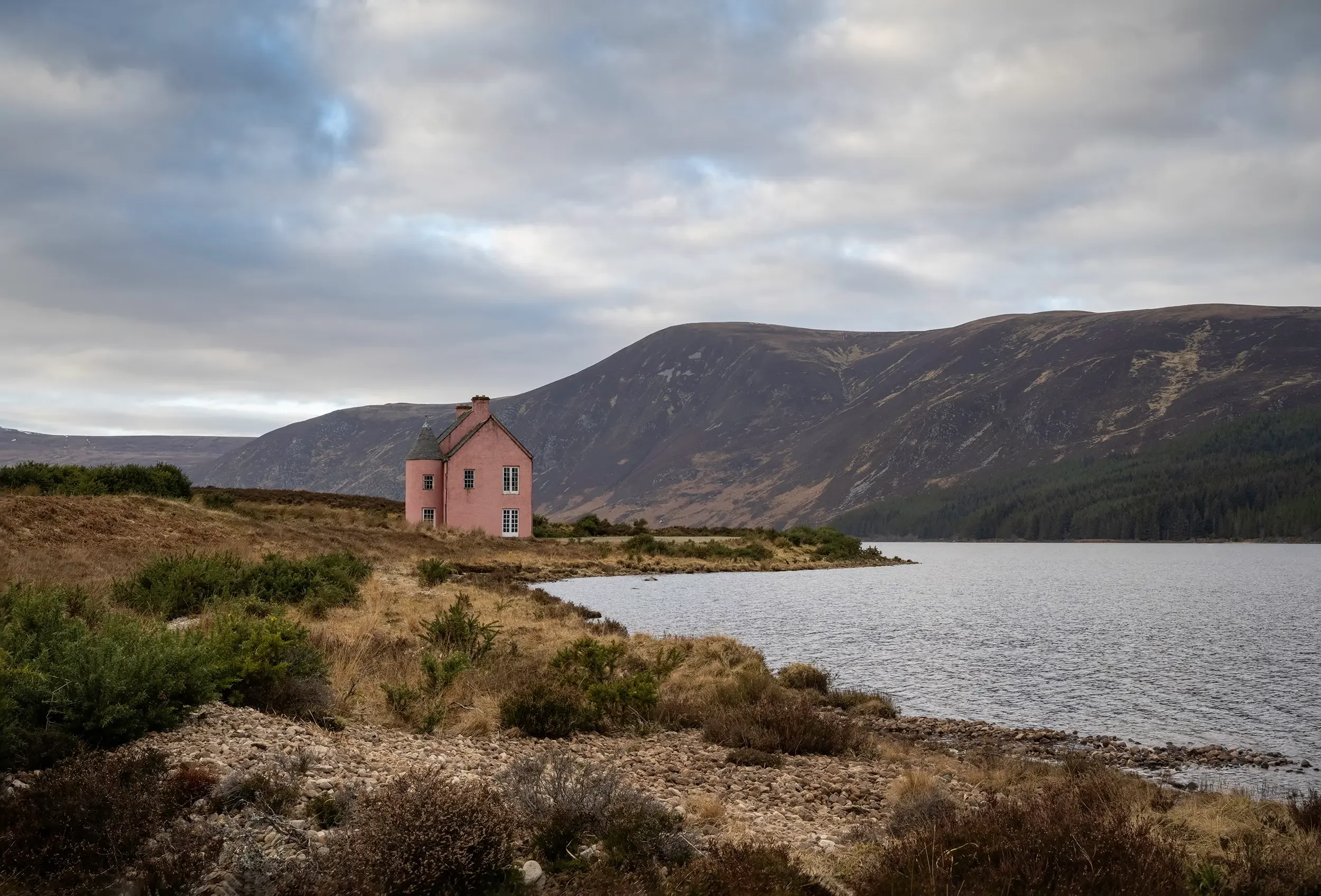 20250210-DSC_6210-Edit copy.webp