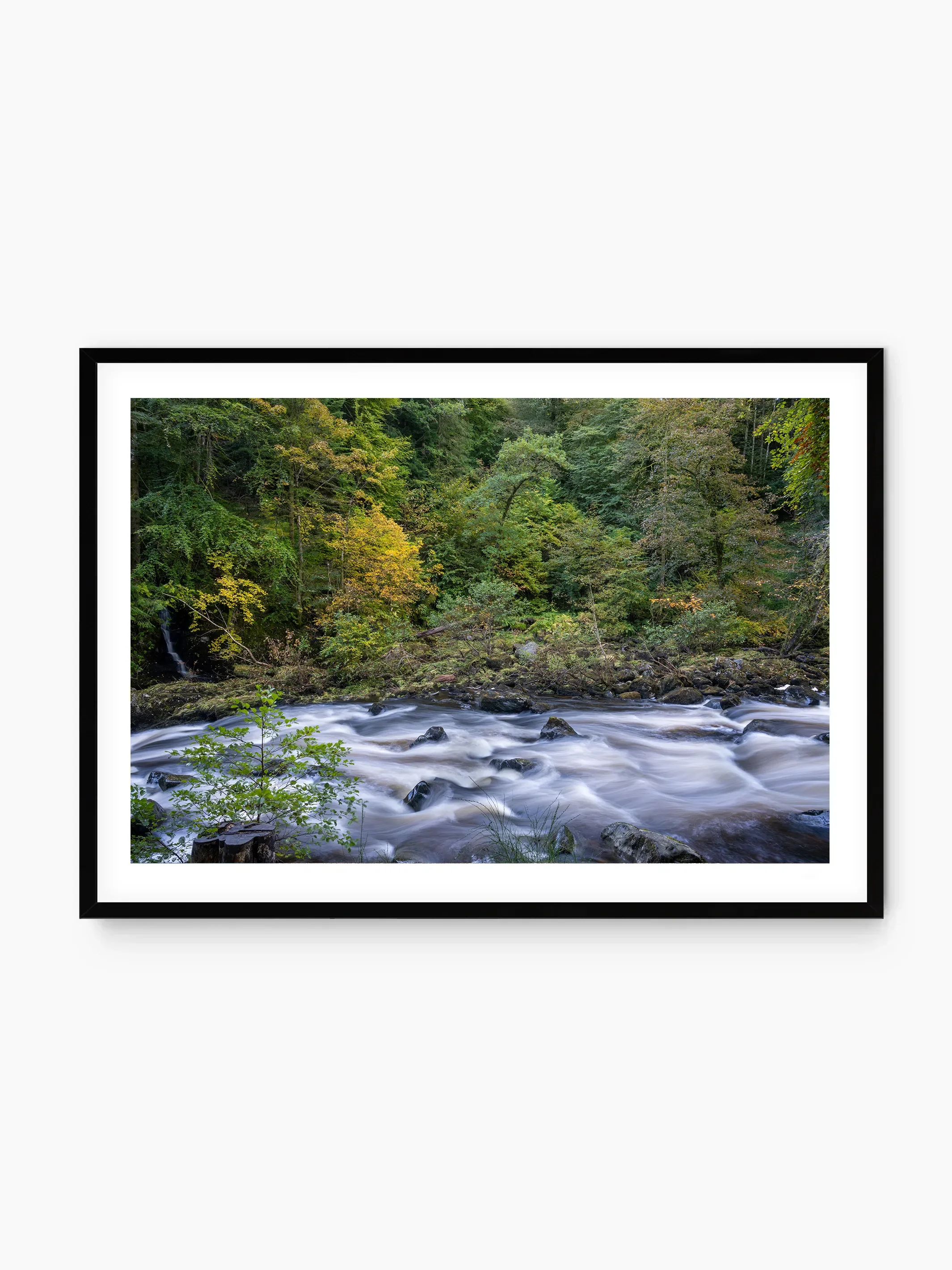 black_template copy.webp