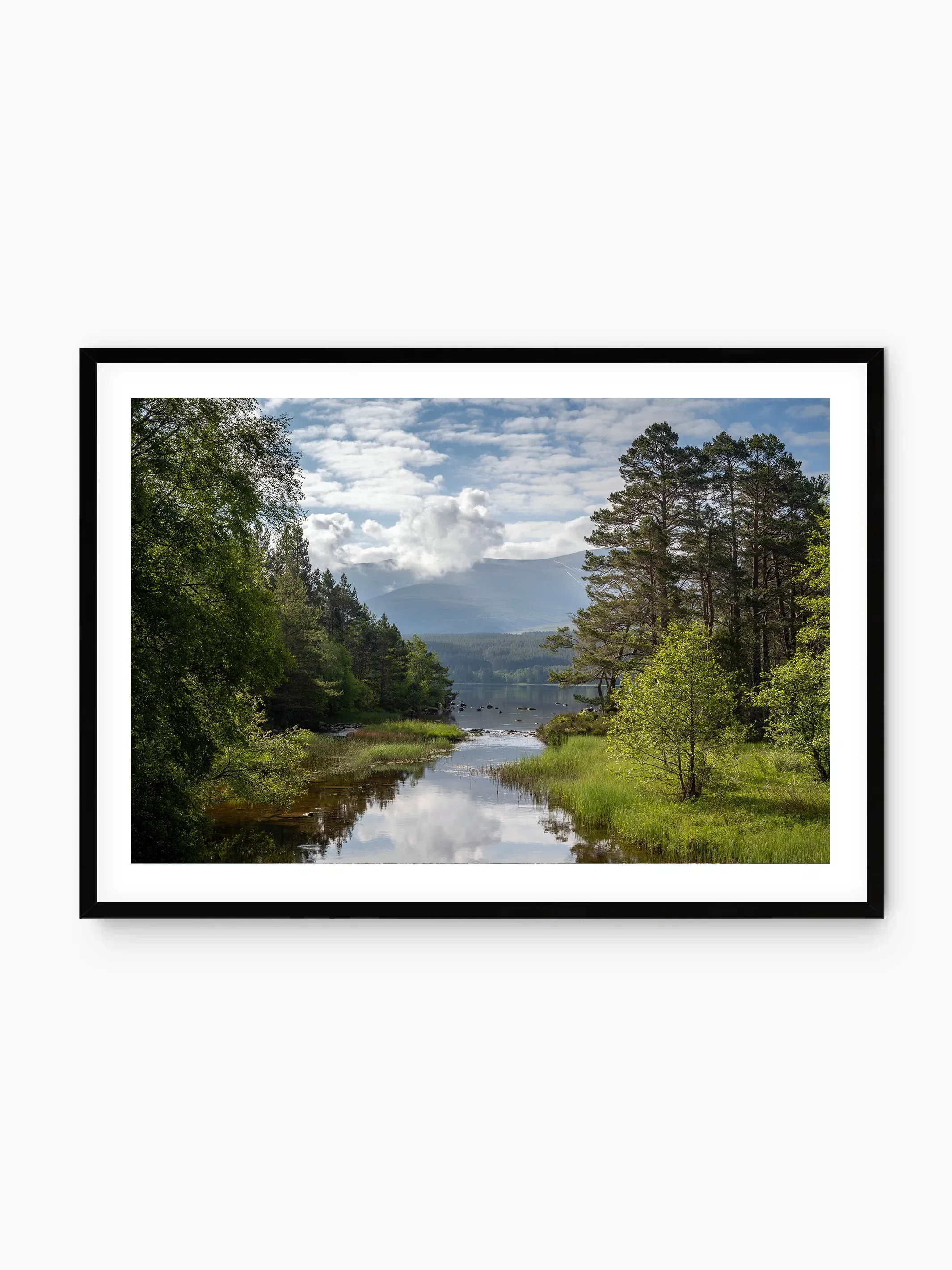 black_template copy.webp