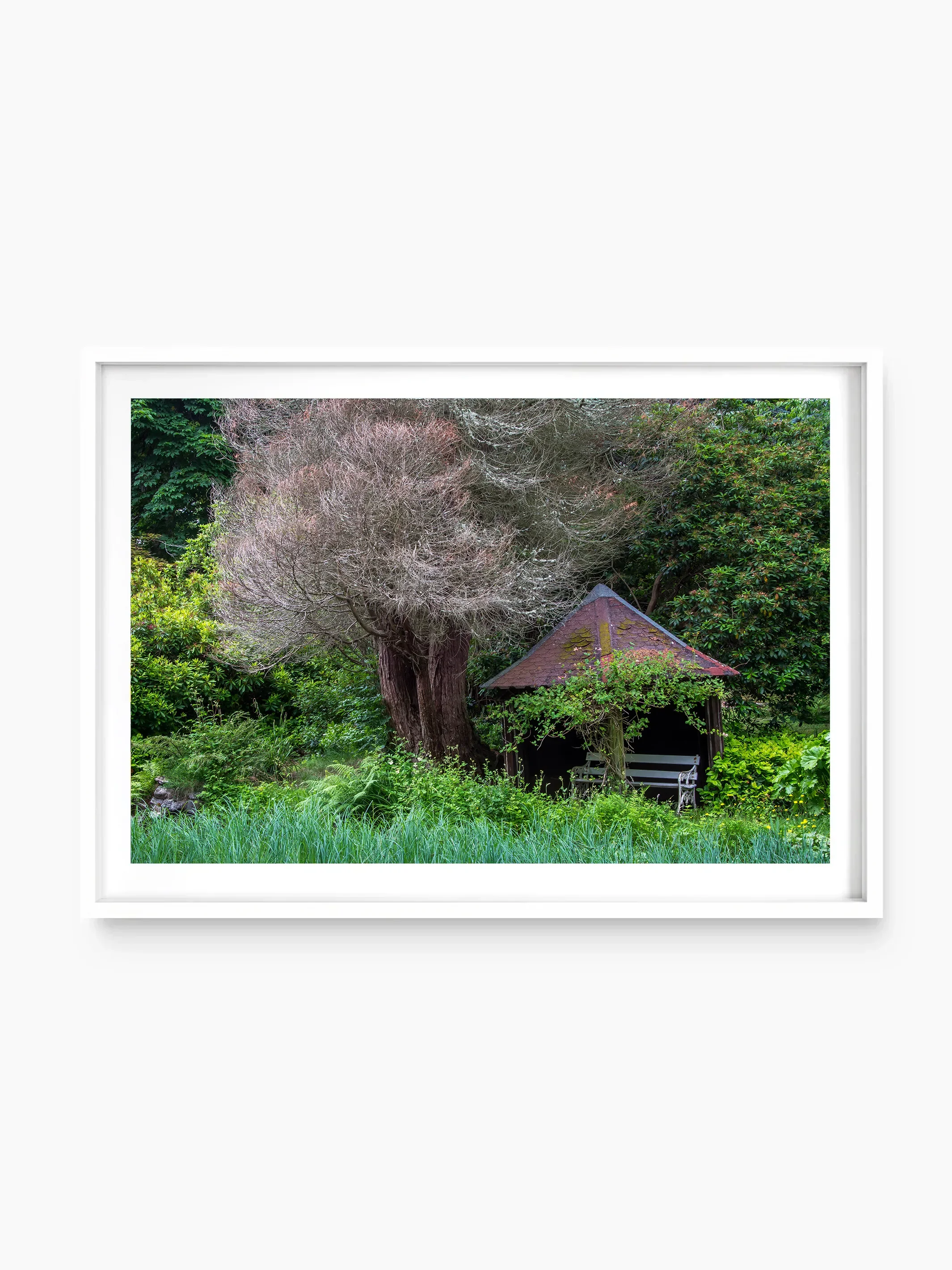 Stobo Japanese Water Gardens, Peebles