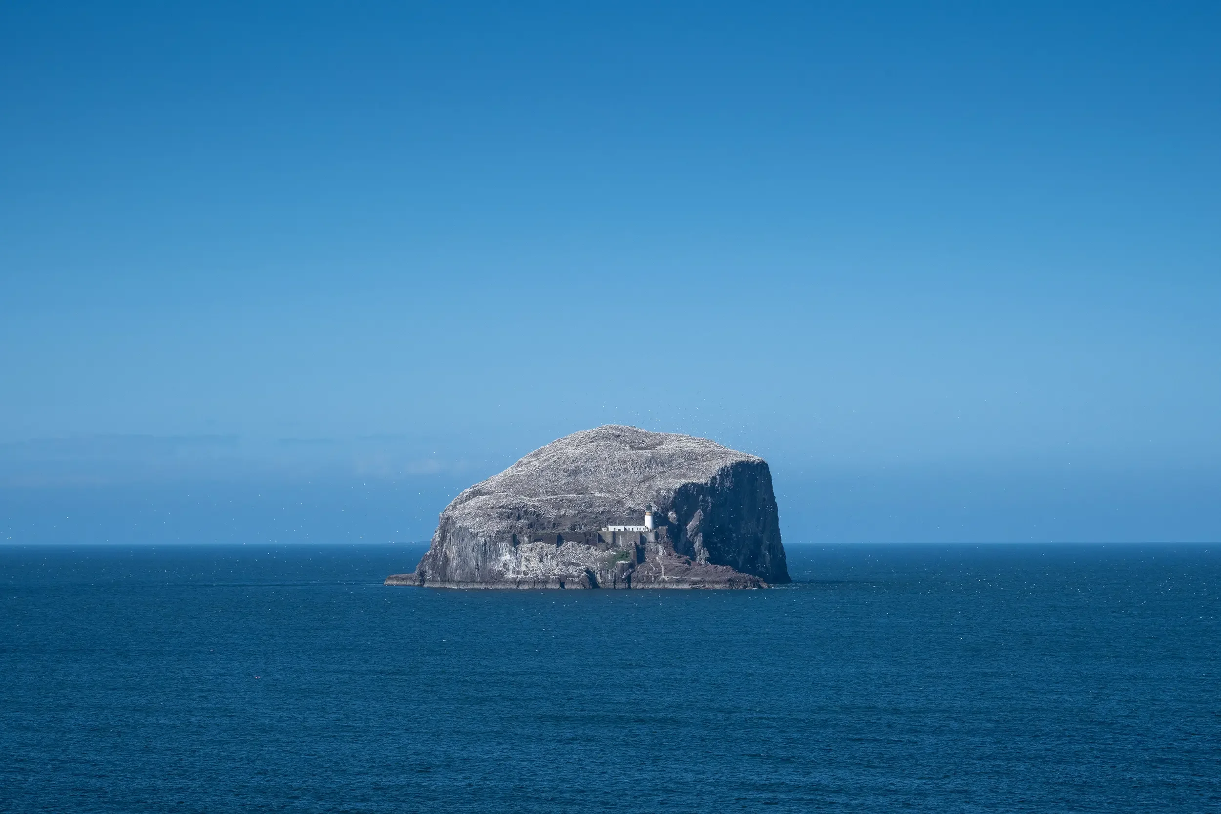 Bass Rock, North Berwick