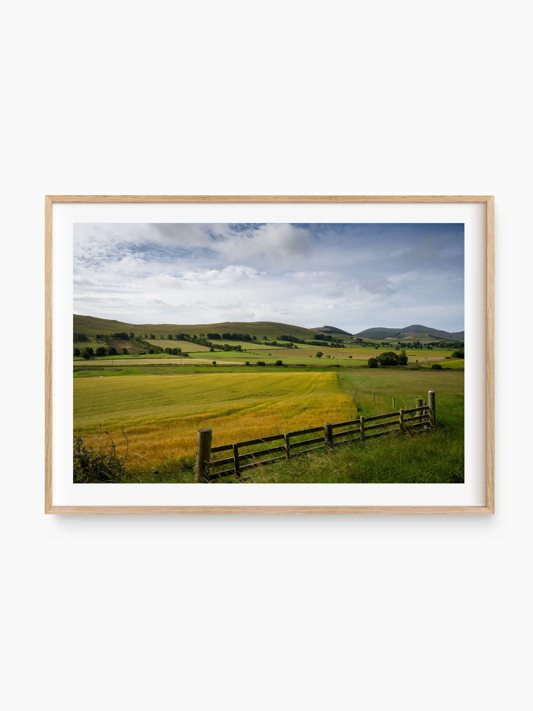 beech_template copy.webp