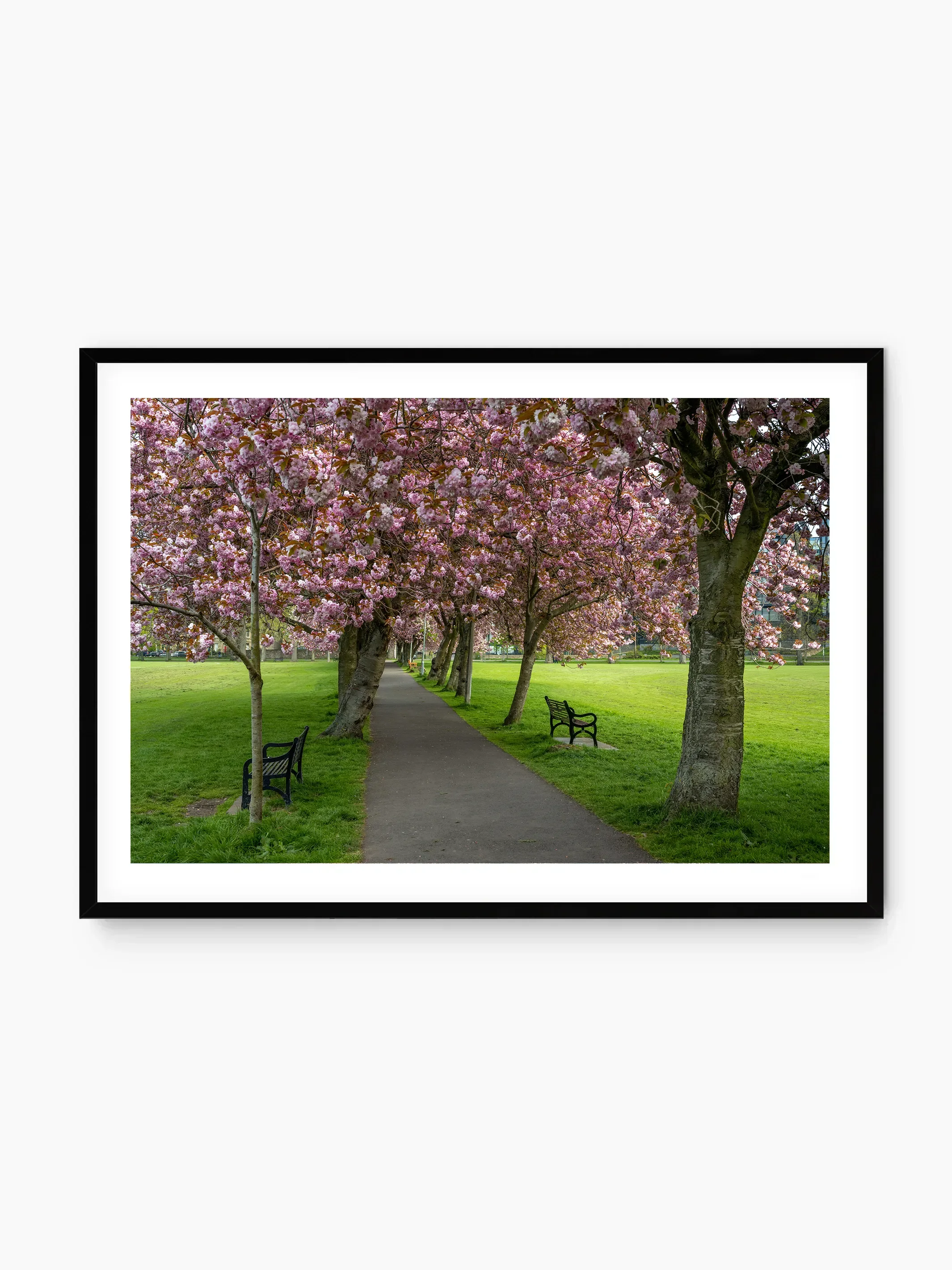 black_template copy.webp