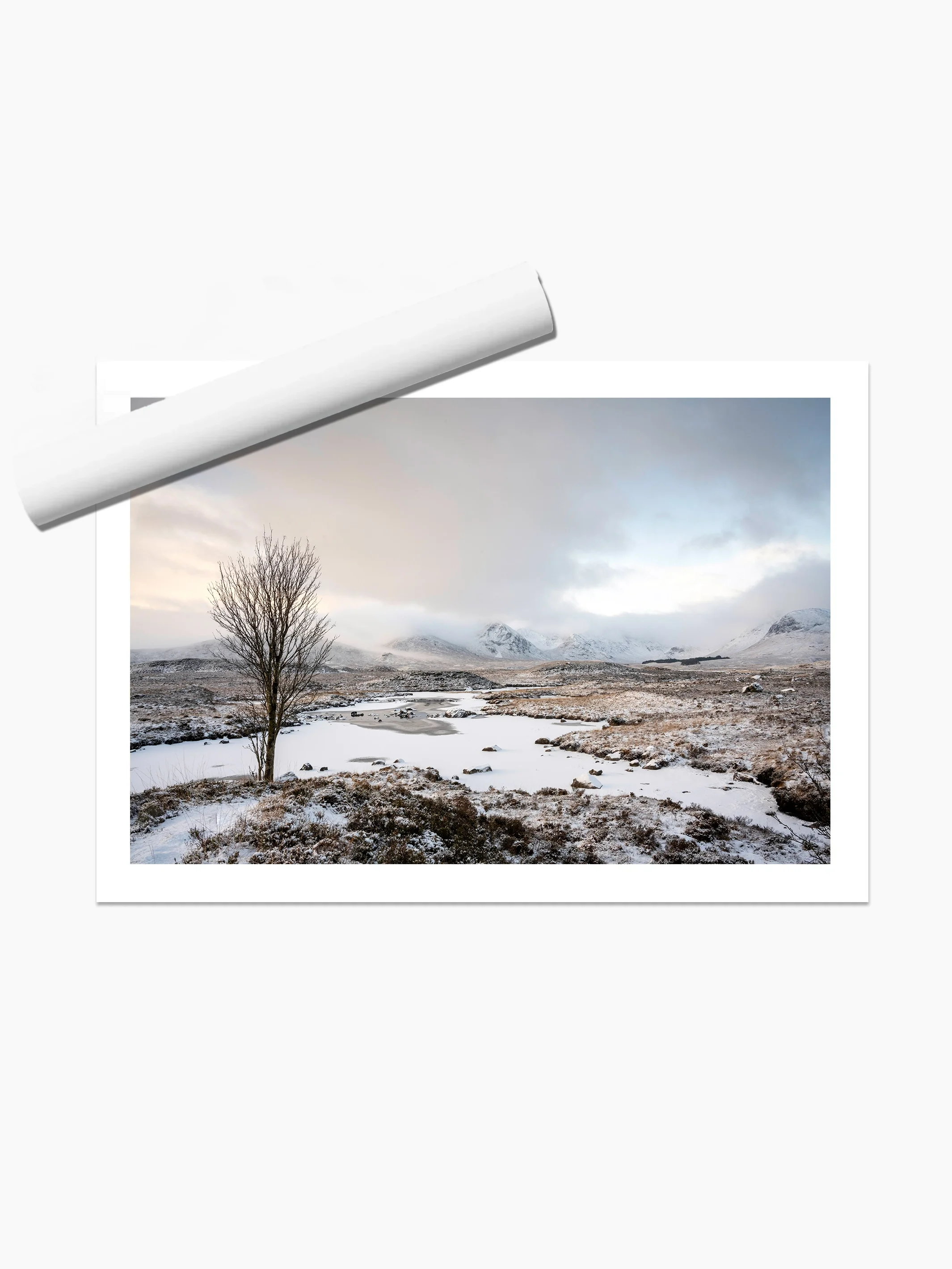 print template copy.webp