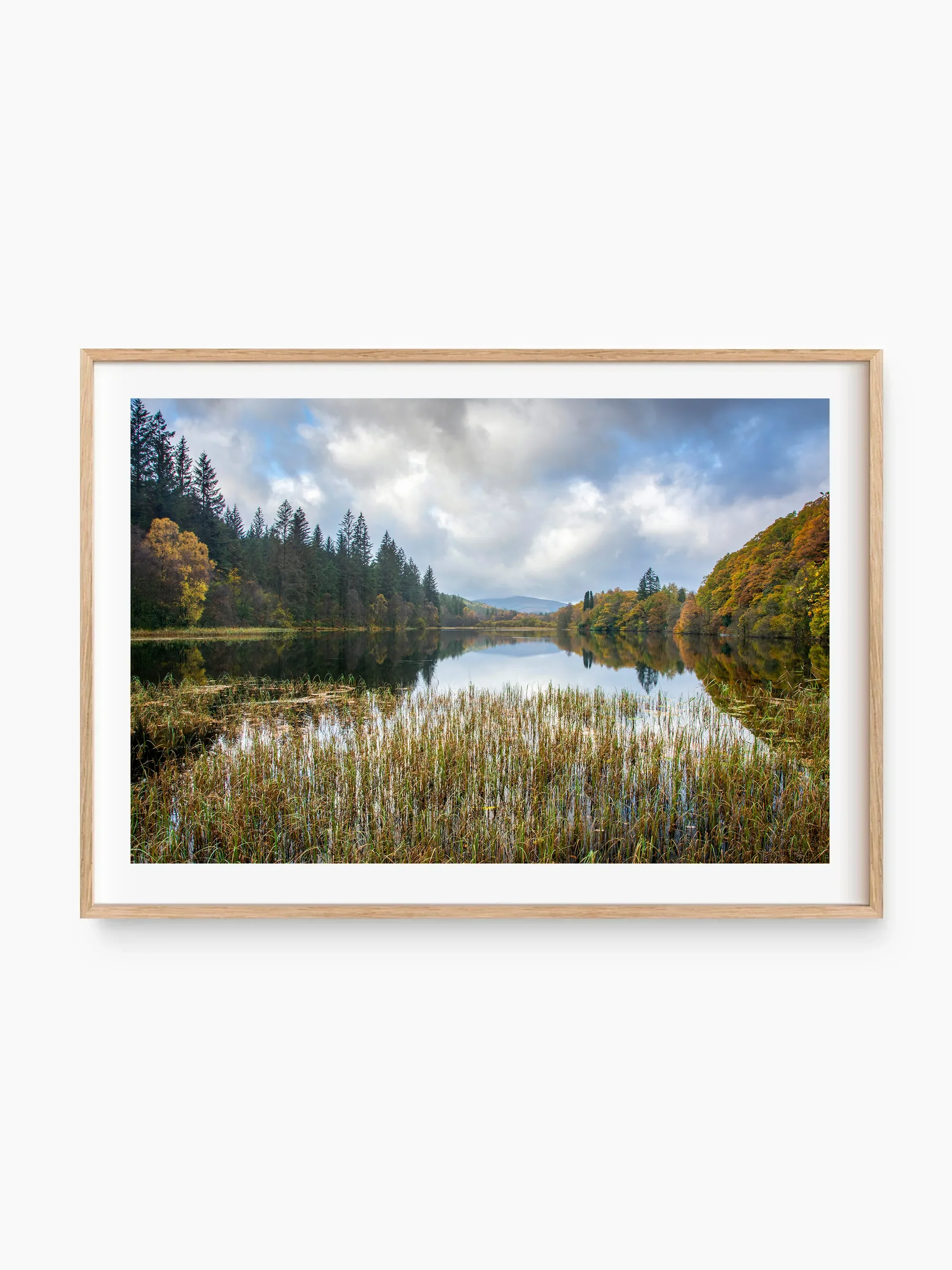 beech_template copy.webp