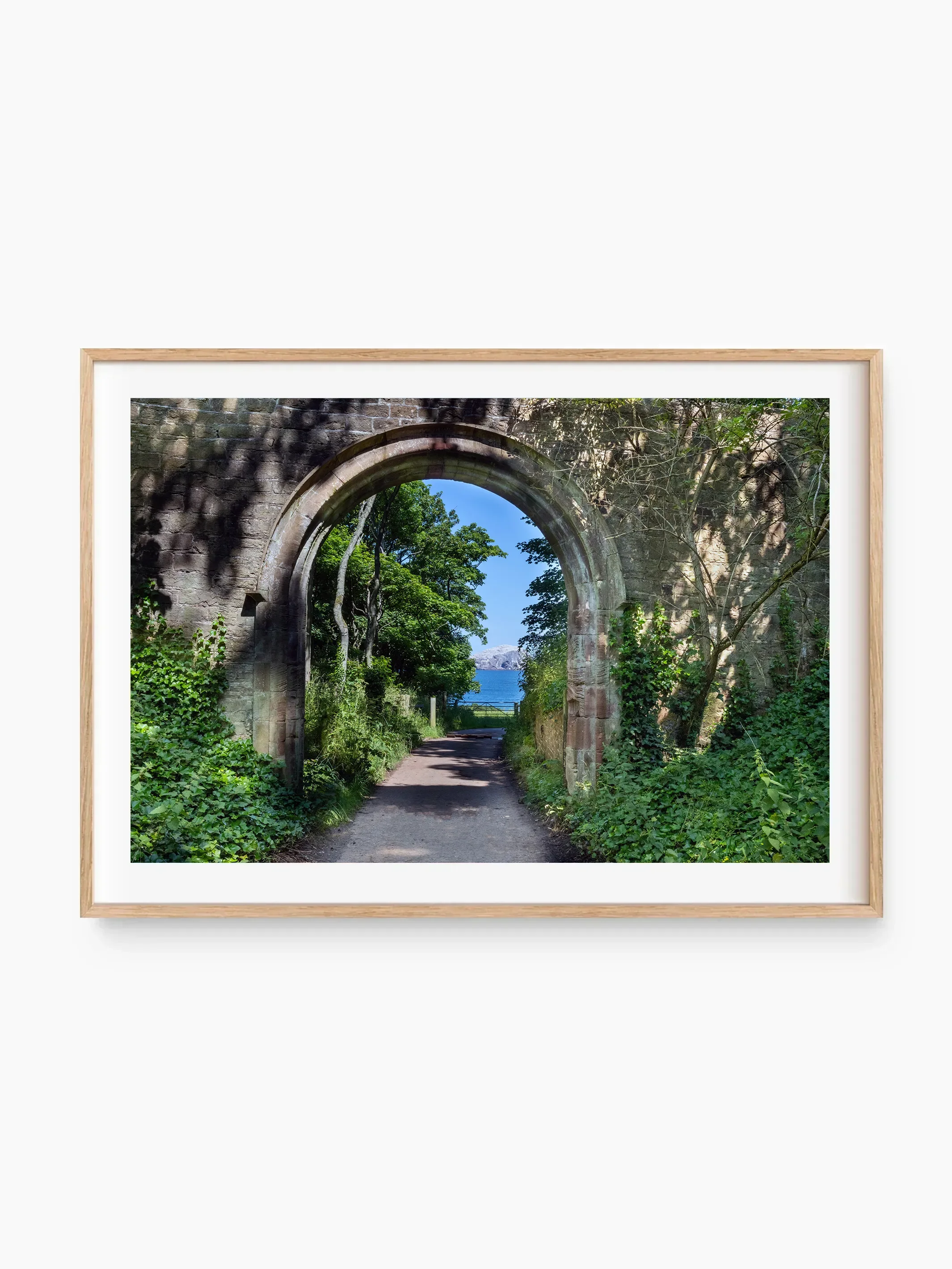 beech_template copy 2.webp